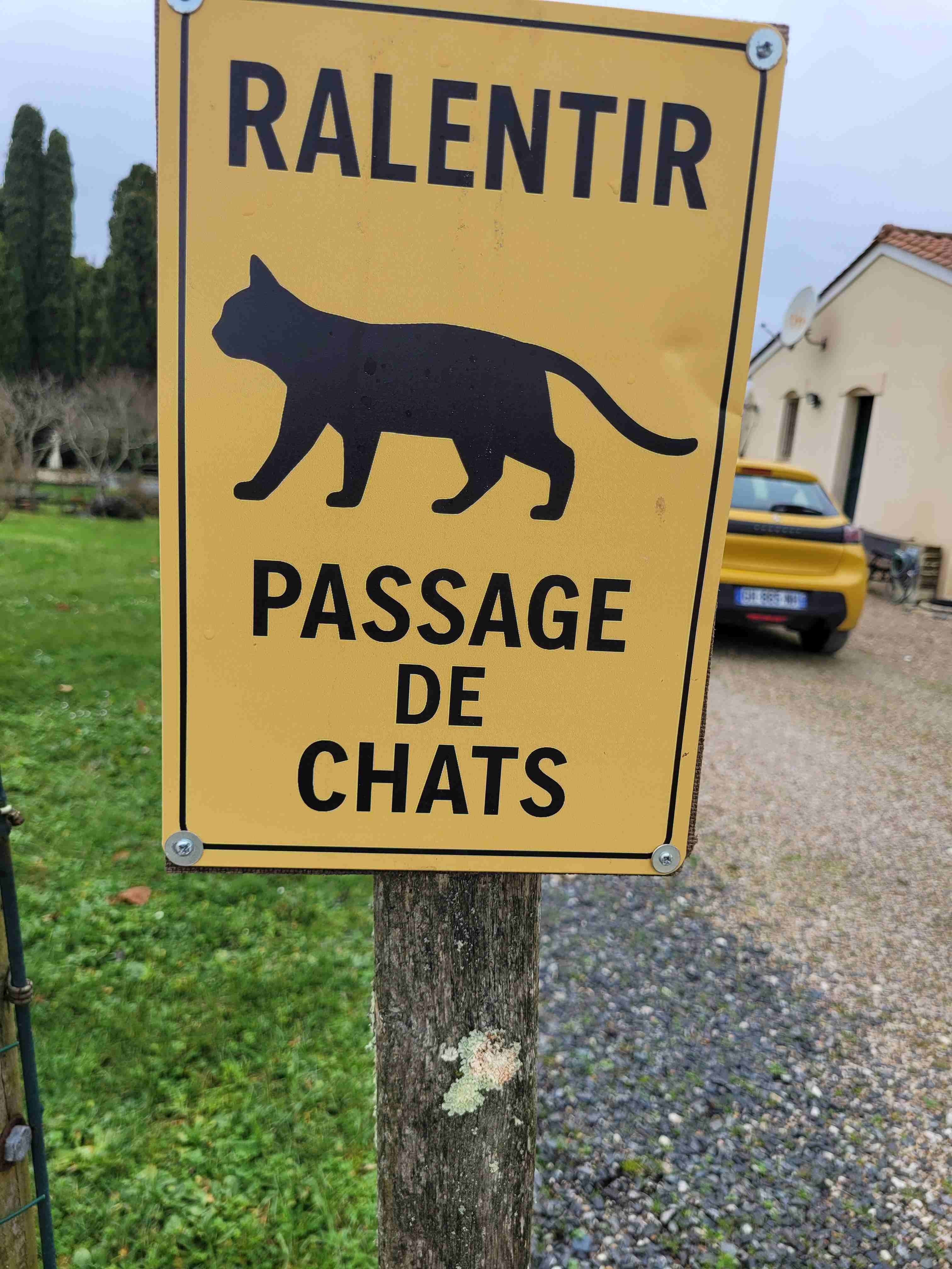 Photo prise par Dominique D.