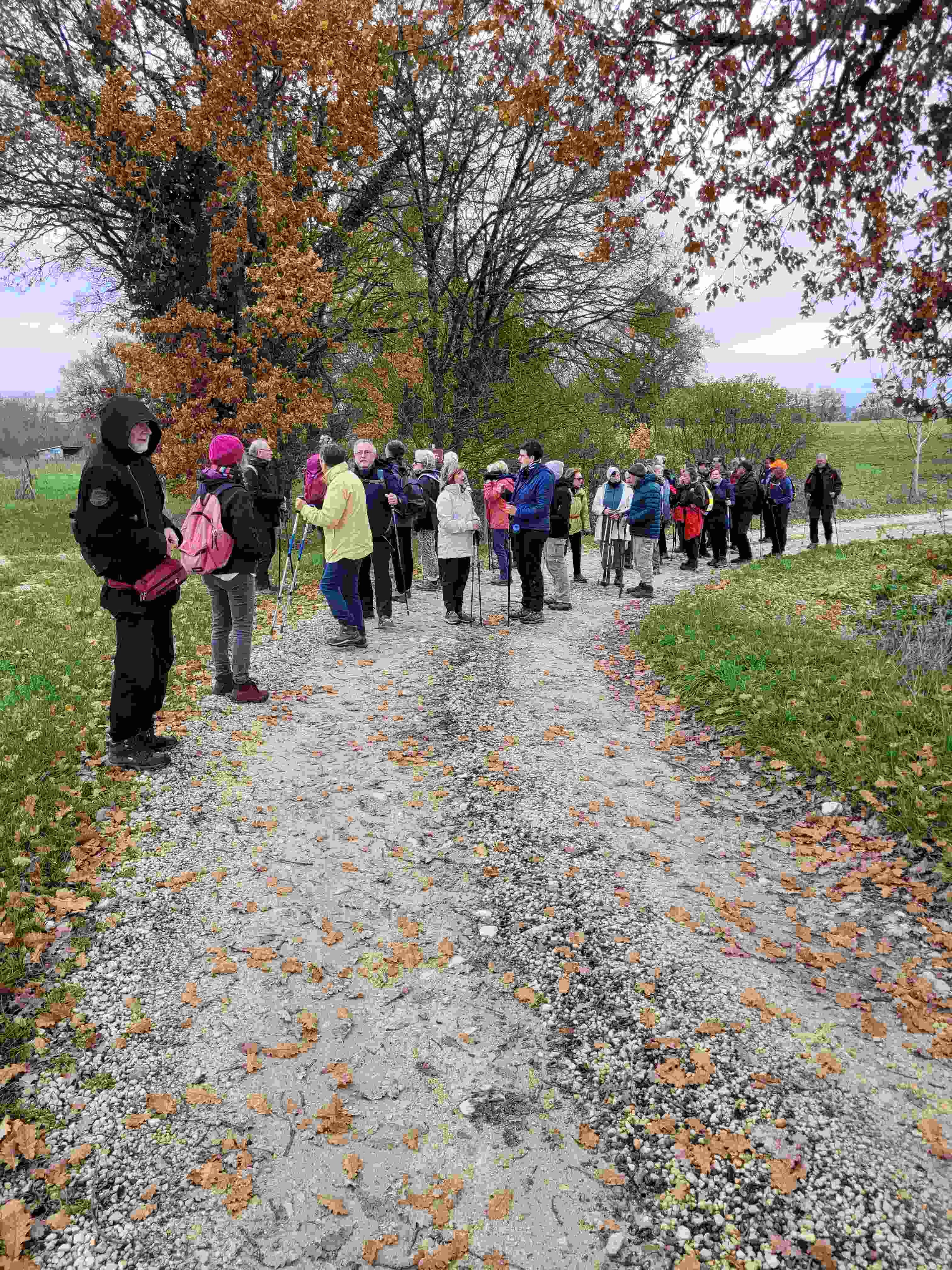 Photo prise par Dominique D.