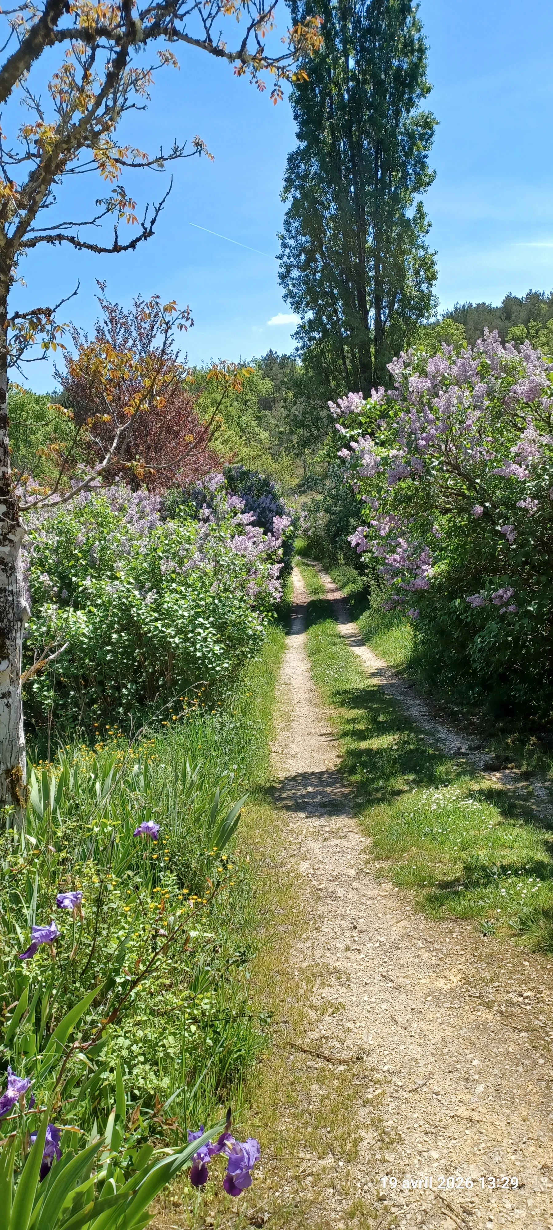 Photos prise par Gilles R.