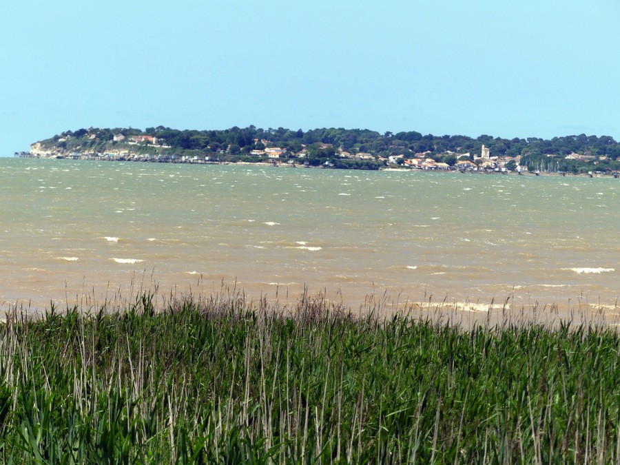 63 p1110360