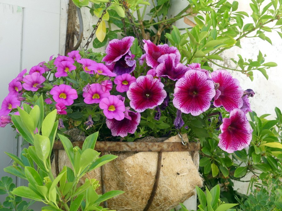 73 p1110398
