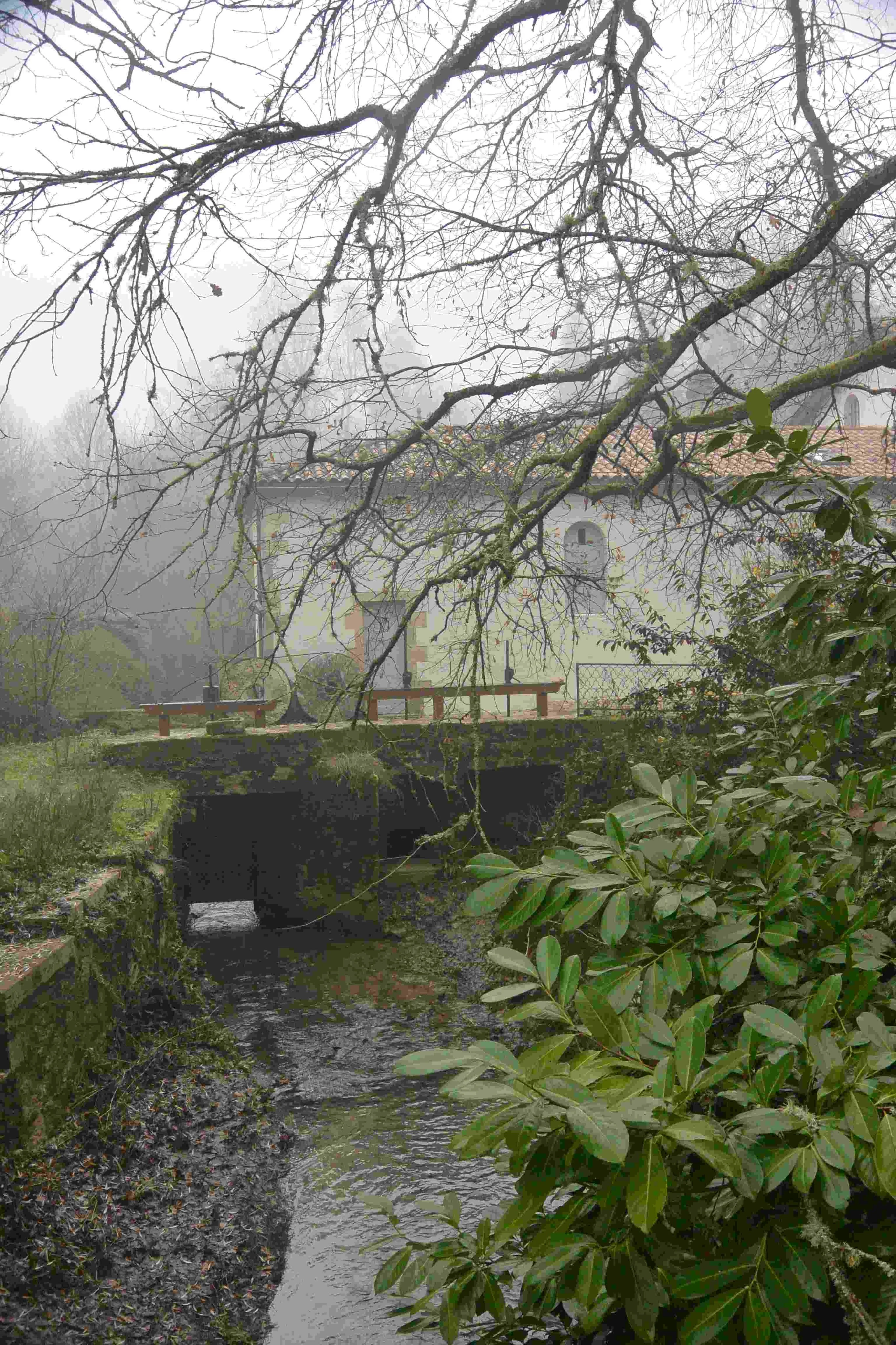 Photo prise par Philippe C.