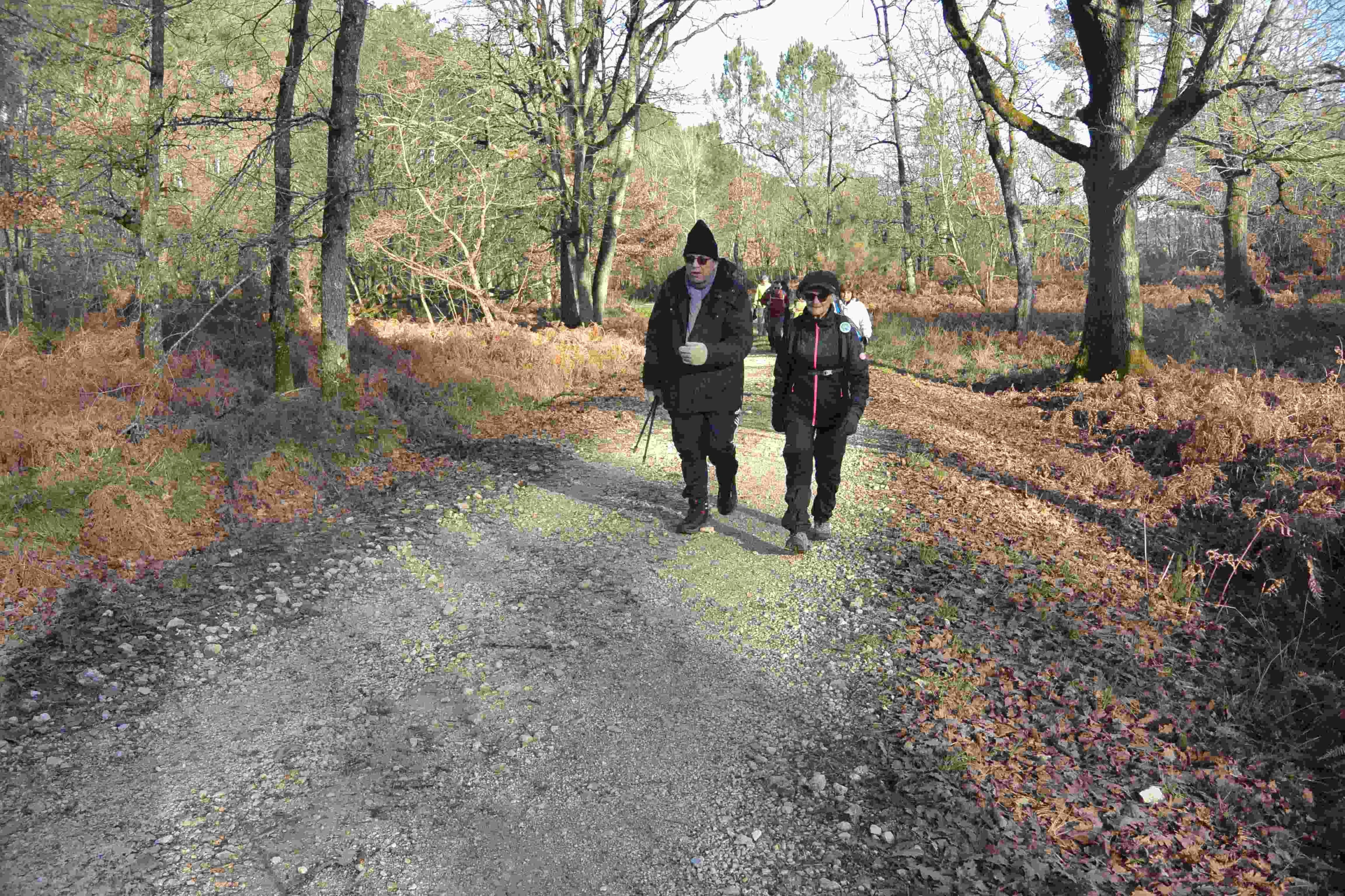 Prise par Philippe C.