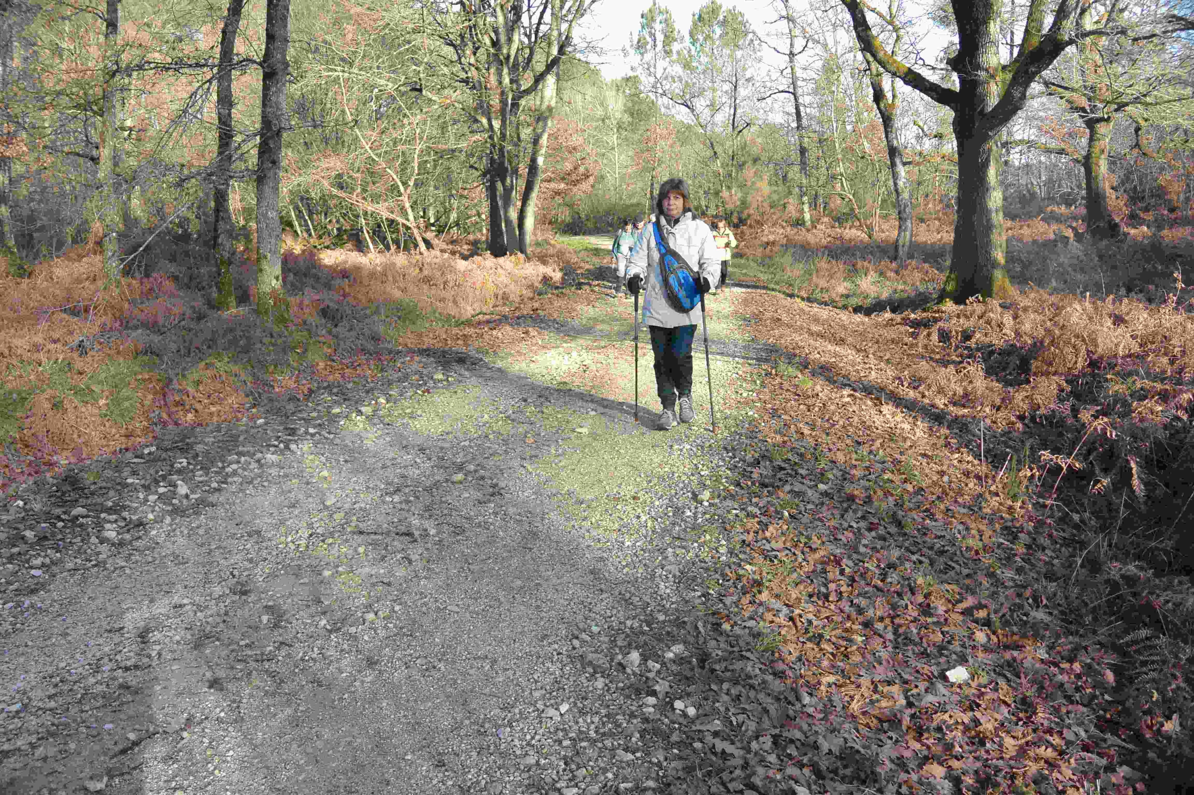 Prise par Philippe C.