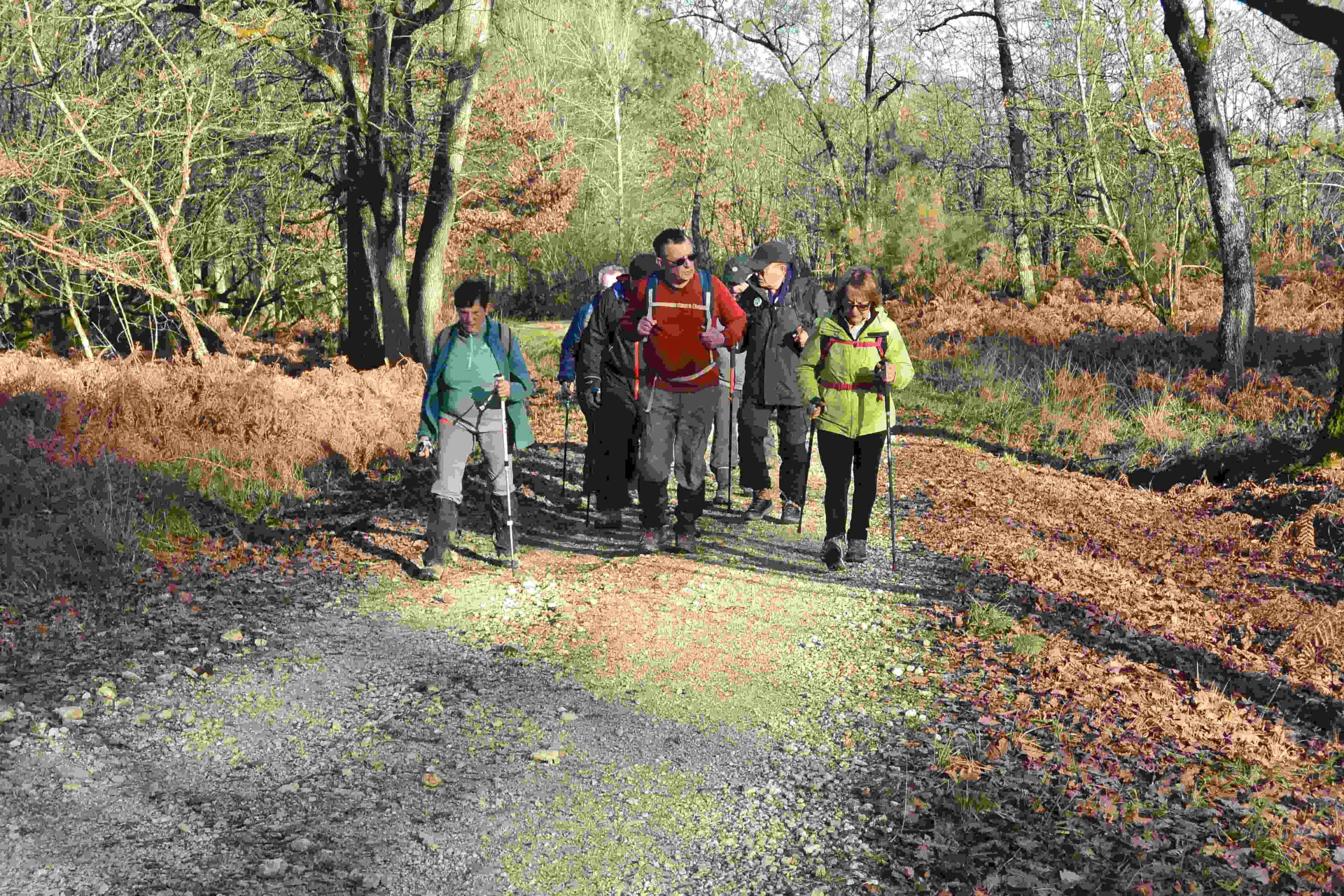 Prise par Philippe C.