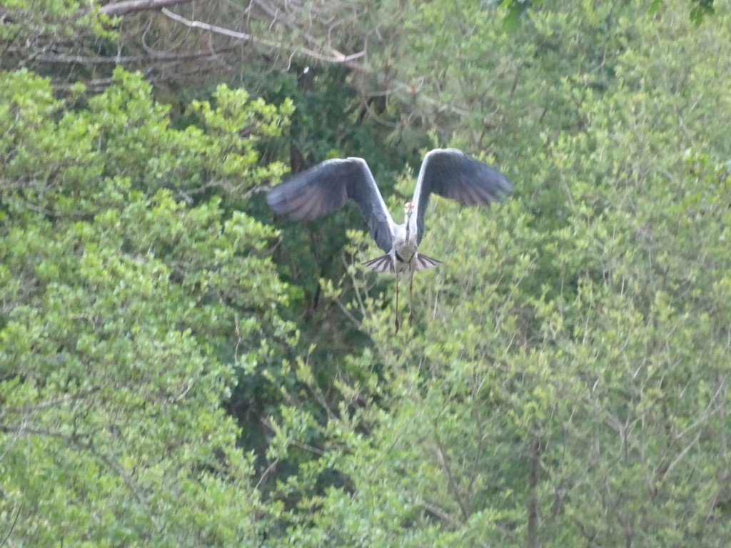 Port d'Abret : de la forêt à la plage