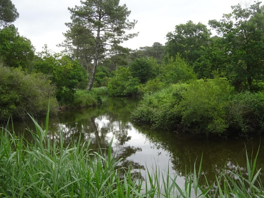 Port d'Abret : de la forêt à la plage