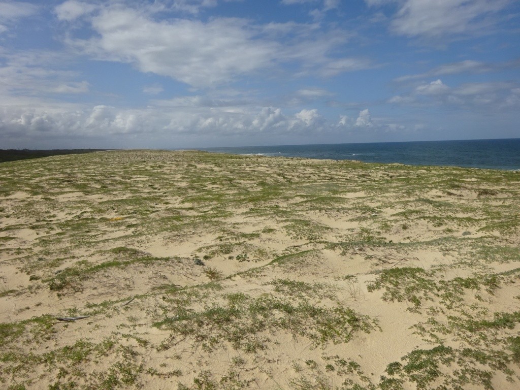 Port d'Abret : de la forêt à la plage