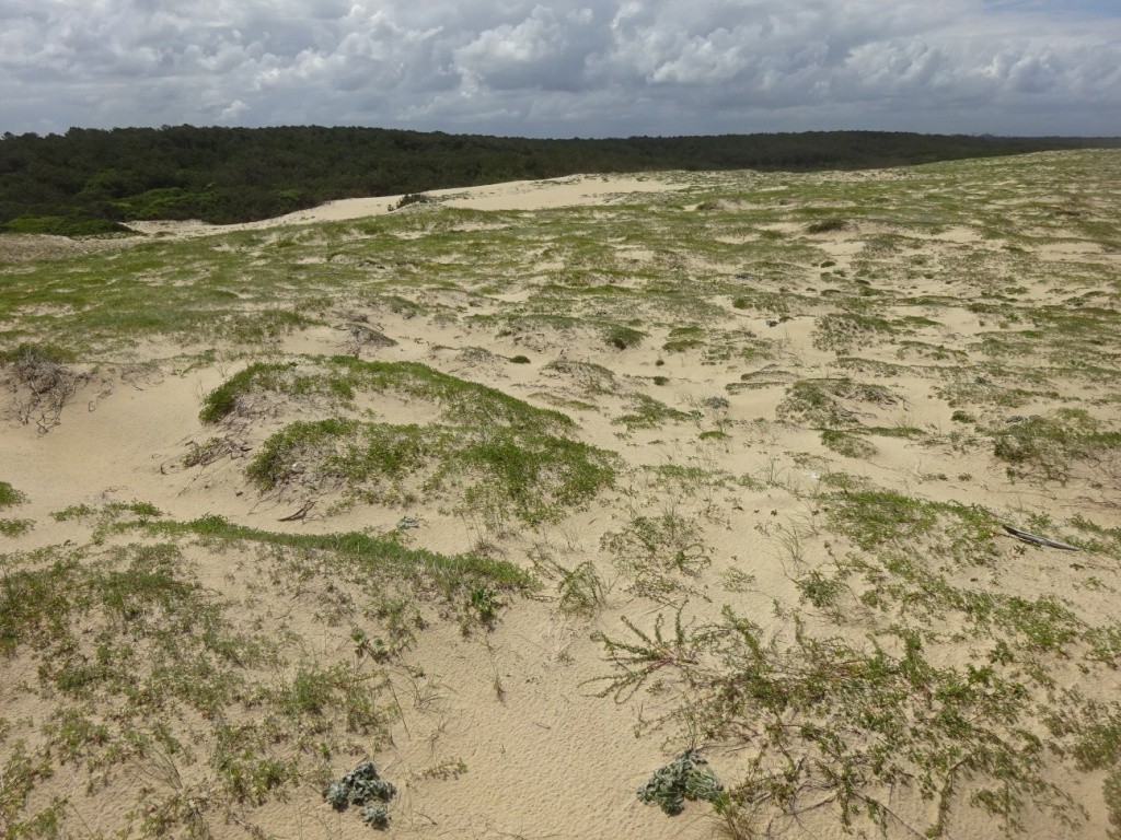 Port d'Abret : de la forêt à la plage