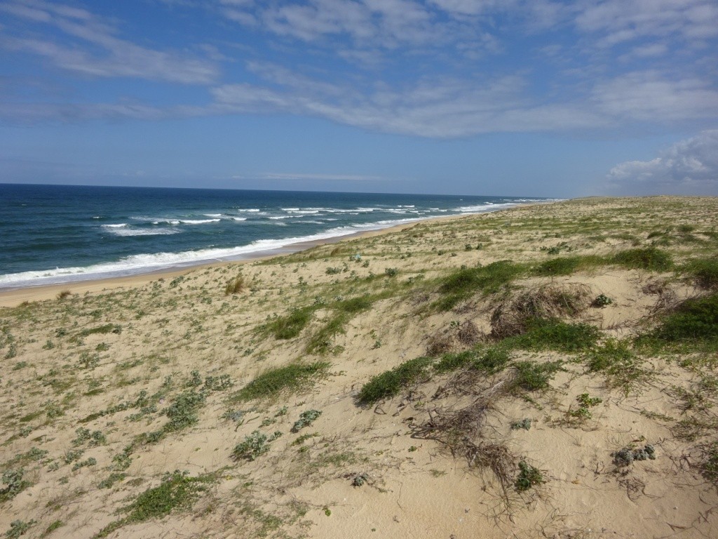 Port d'Abret : de la forêt à la plage