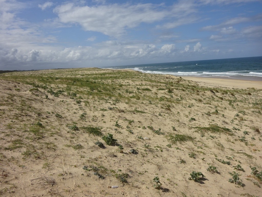 Port d'Abret : de la forêt à la plage