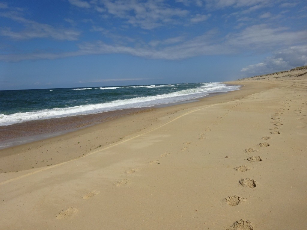 Port d'Abret : de la forêt à la plage