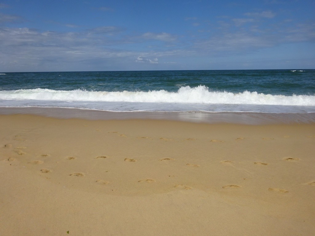 Port d'Abret : de la forêt à la plage