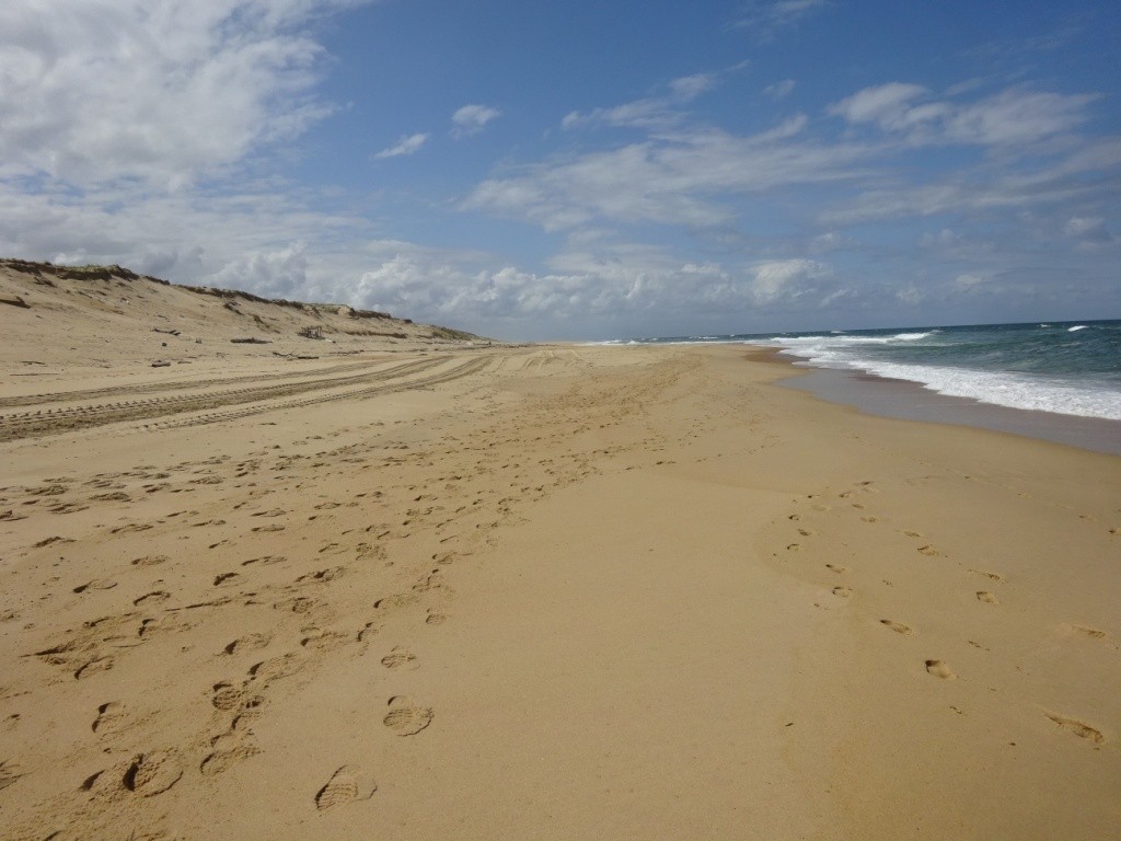 Port d'Abret : de la forêt à la plage