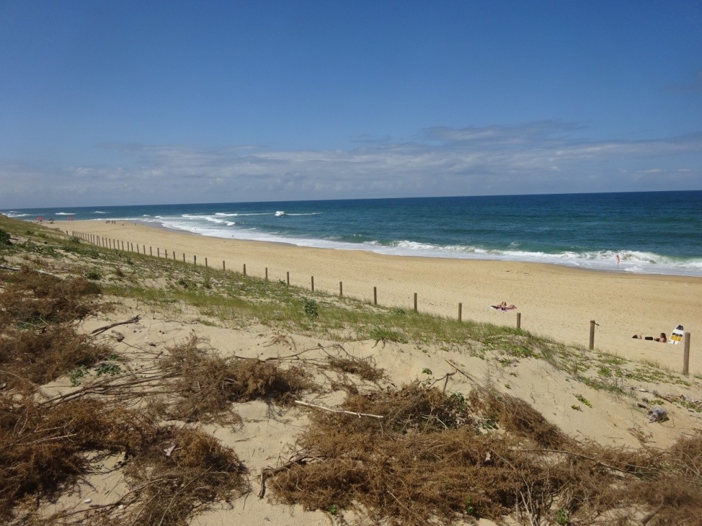 Port d'Abret : de la forêt à la plage