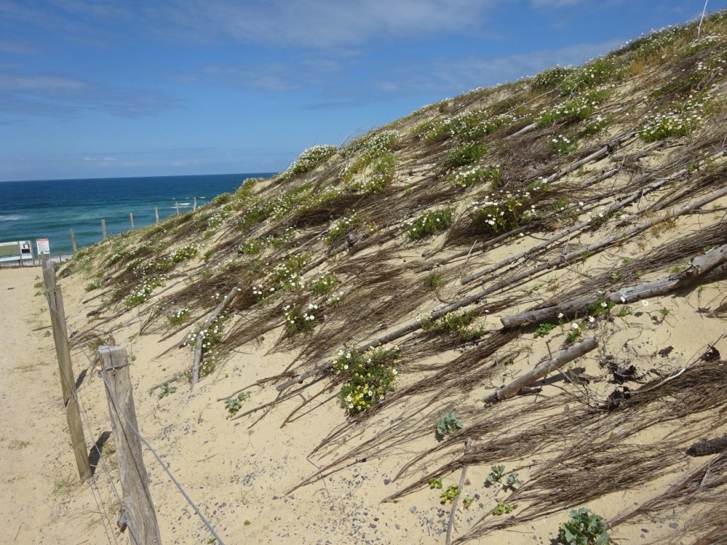 Port d'Abret : de la forêt à la plage