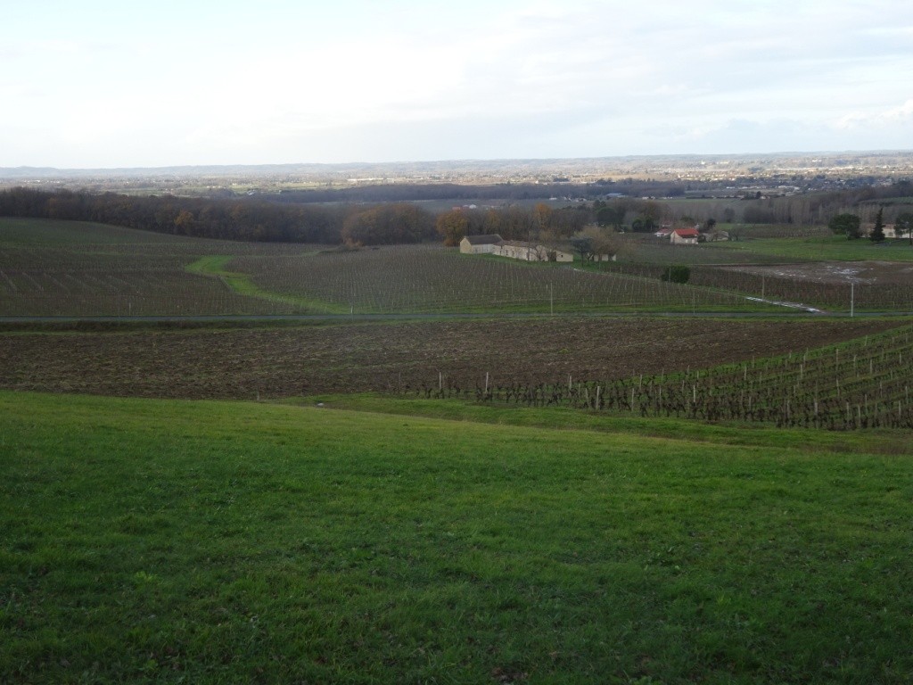 Dsc01505
