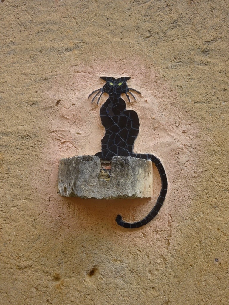 Dsc02146
