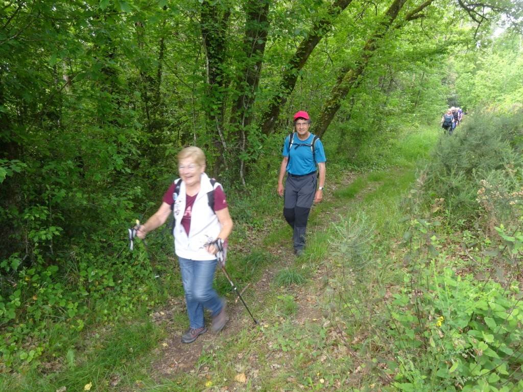 Photos prise par Ludwig F.