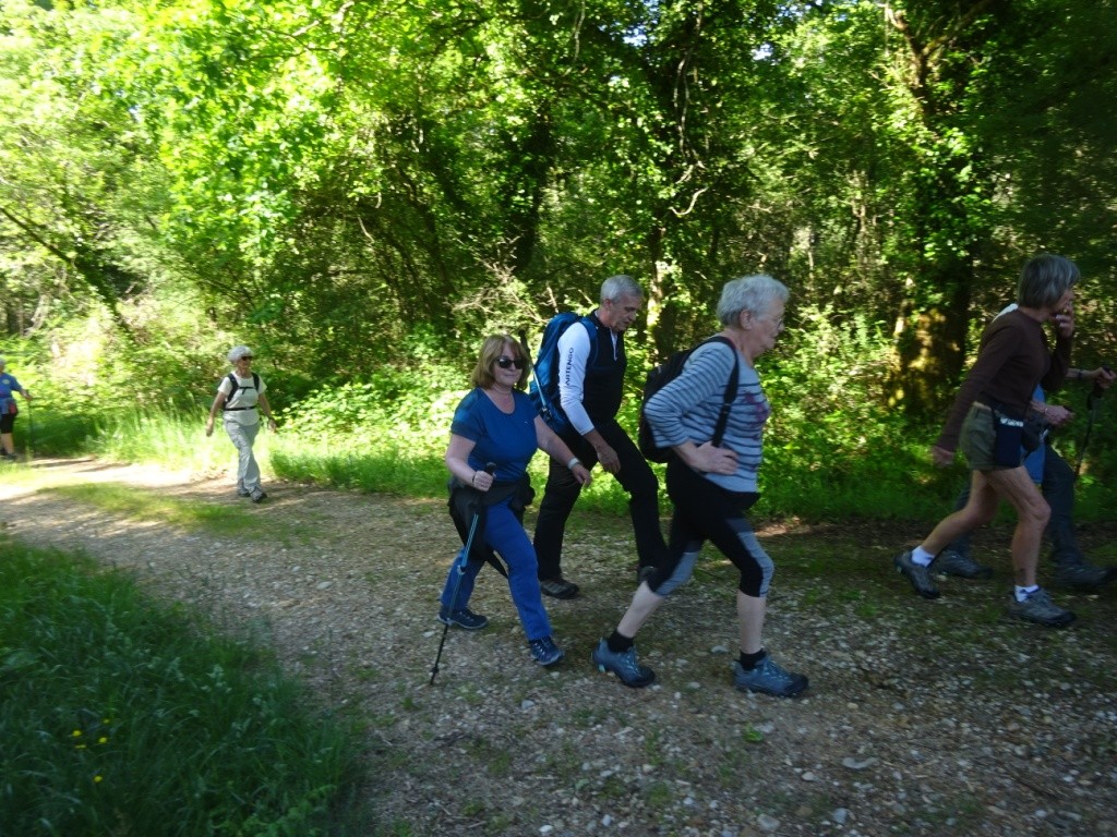 Dsc02282