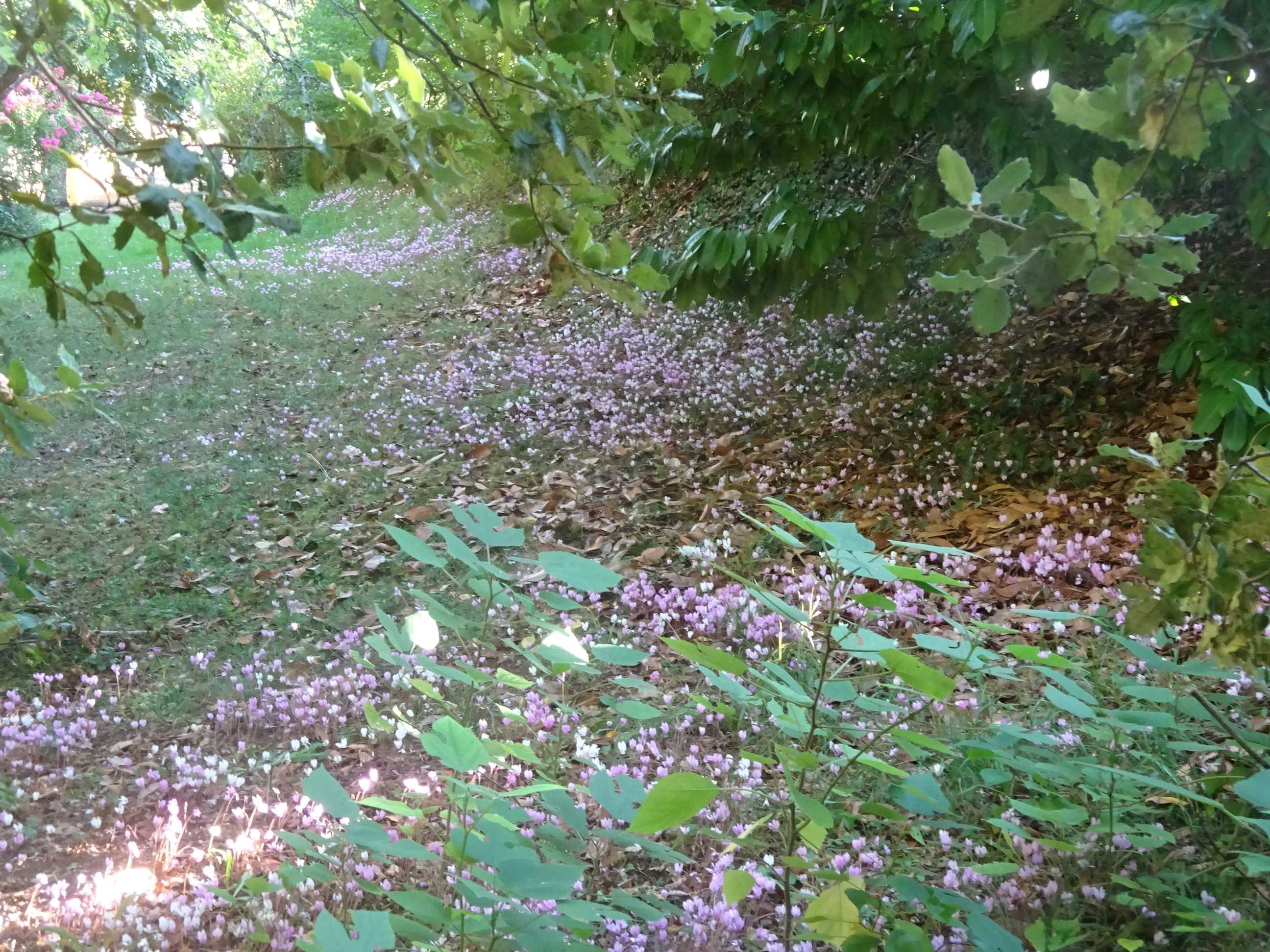 Dsc03844