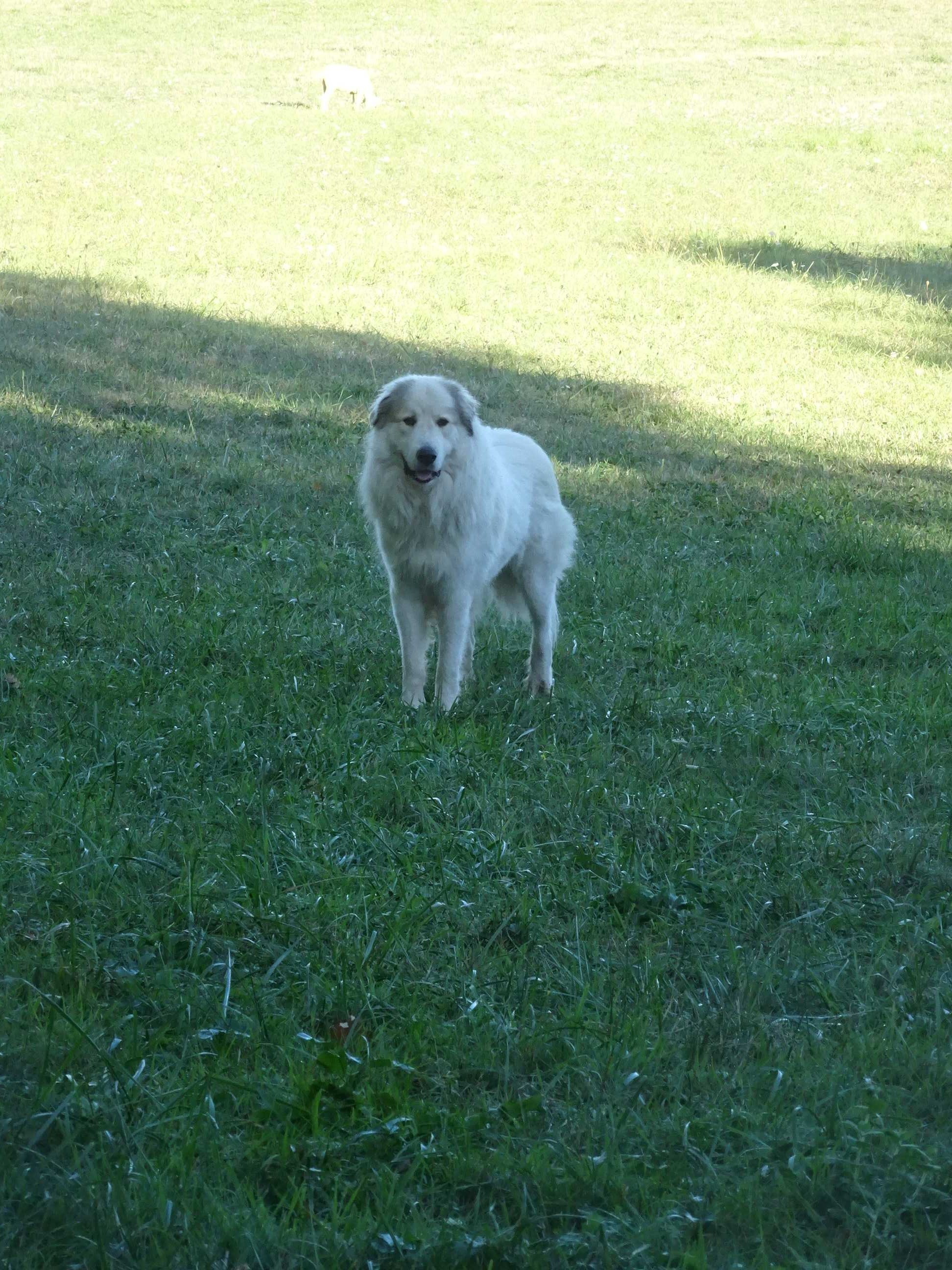 Dsc03851