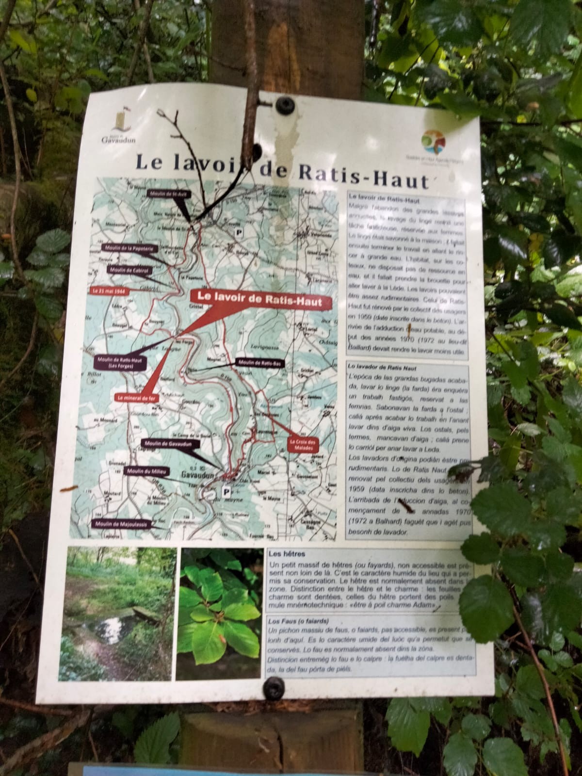 Img 20250511 wa0001