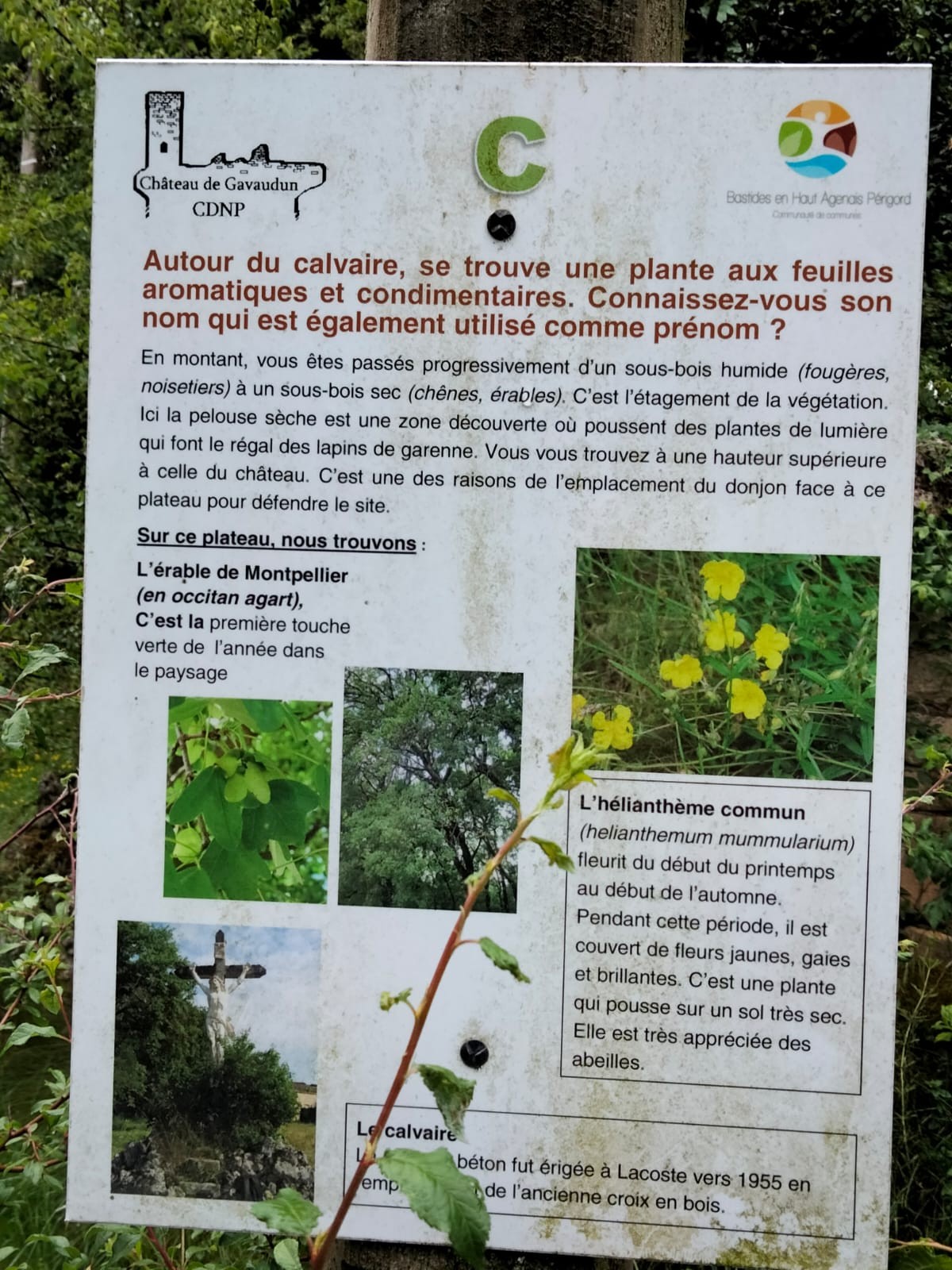 Img 20250511 wa0013