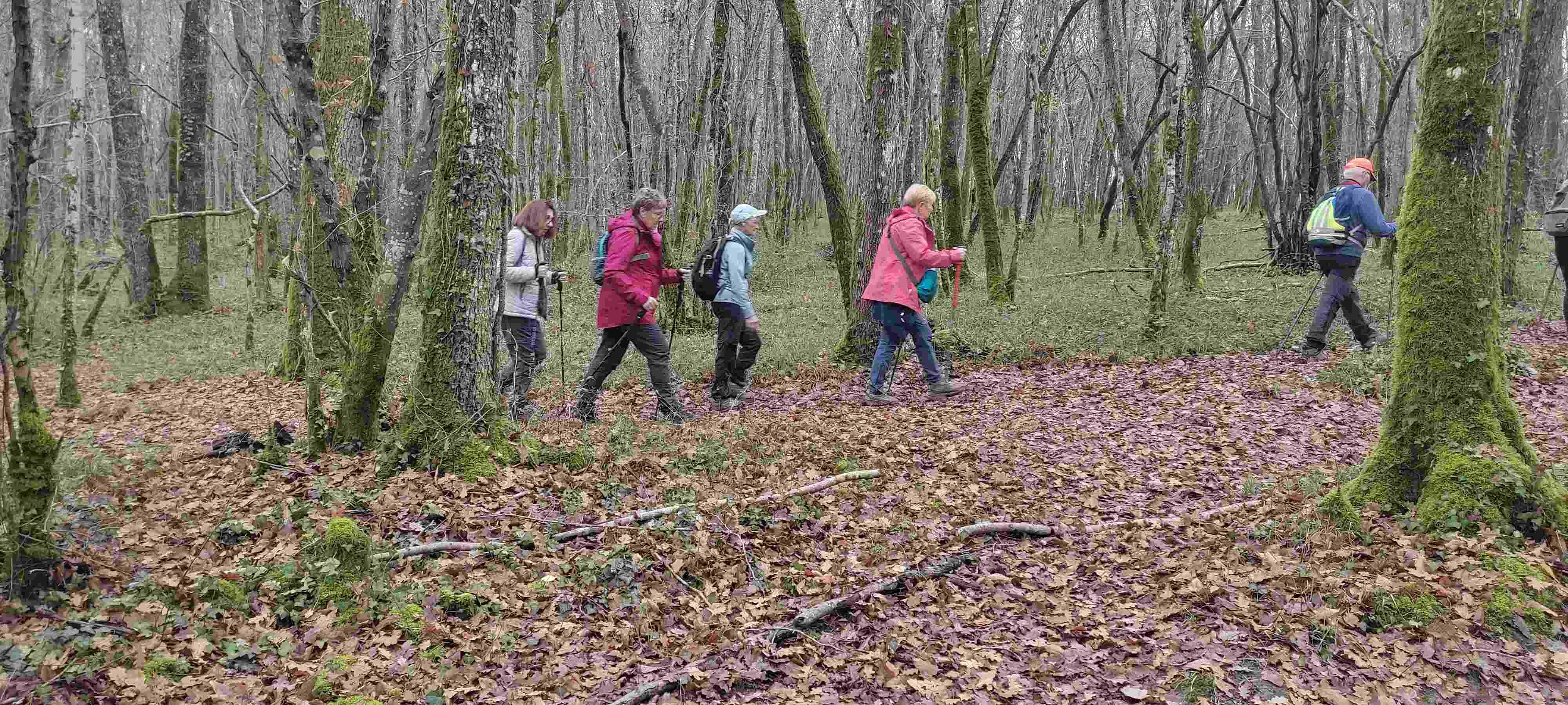 Photo prise par Christian F.