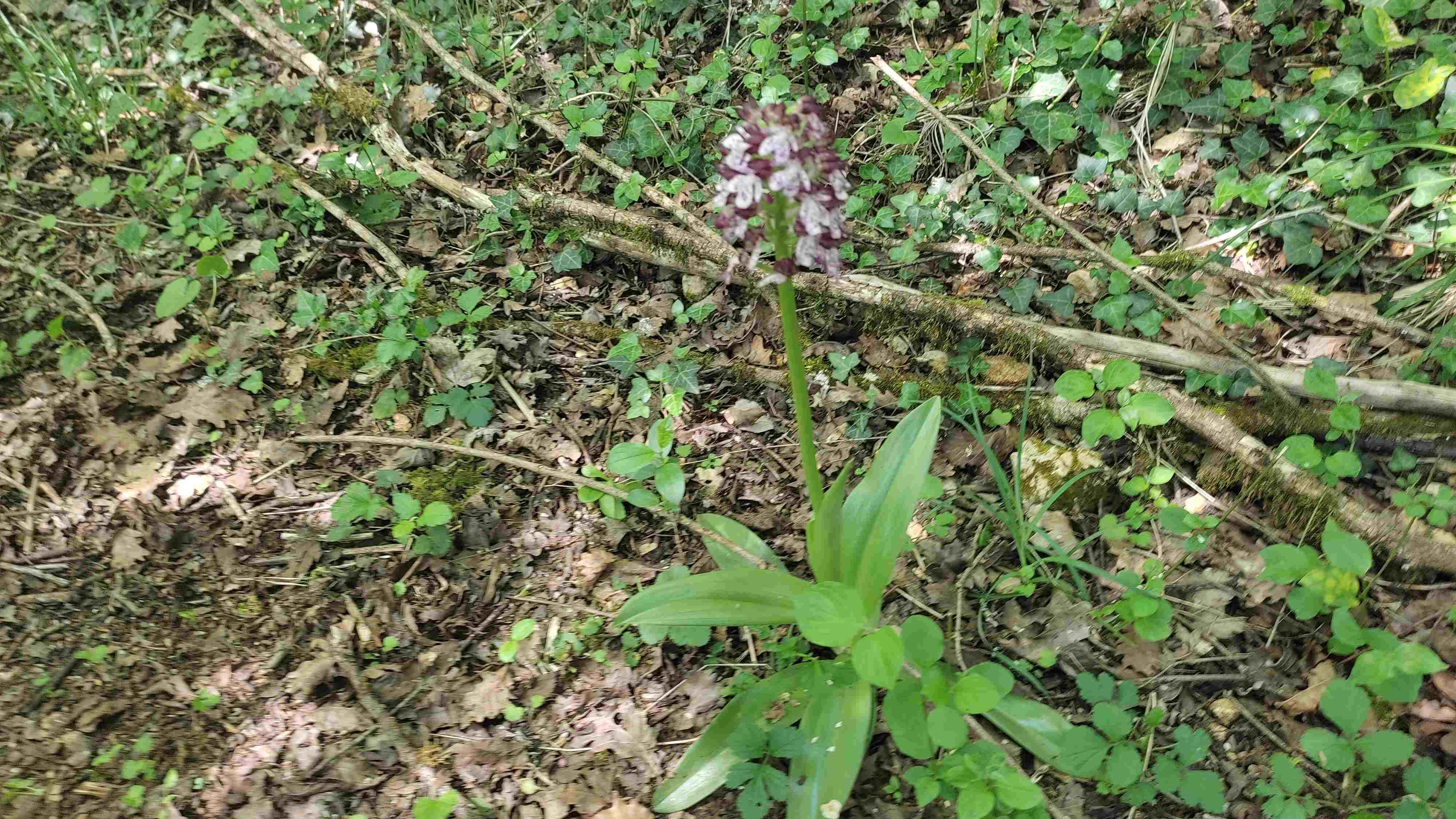 Photos prise par Christian F.