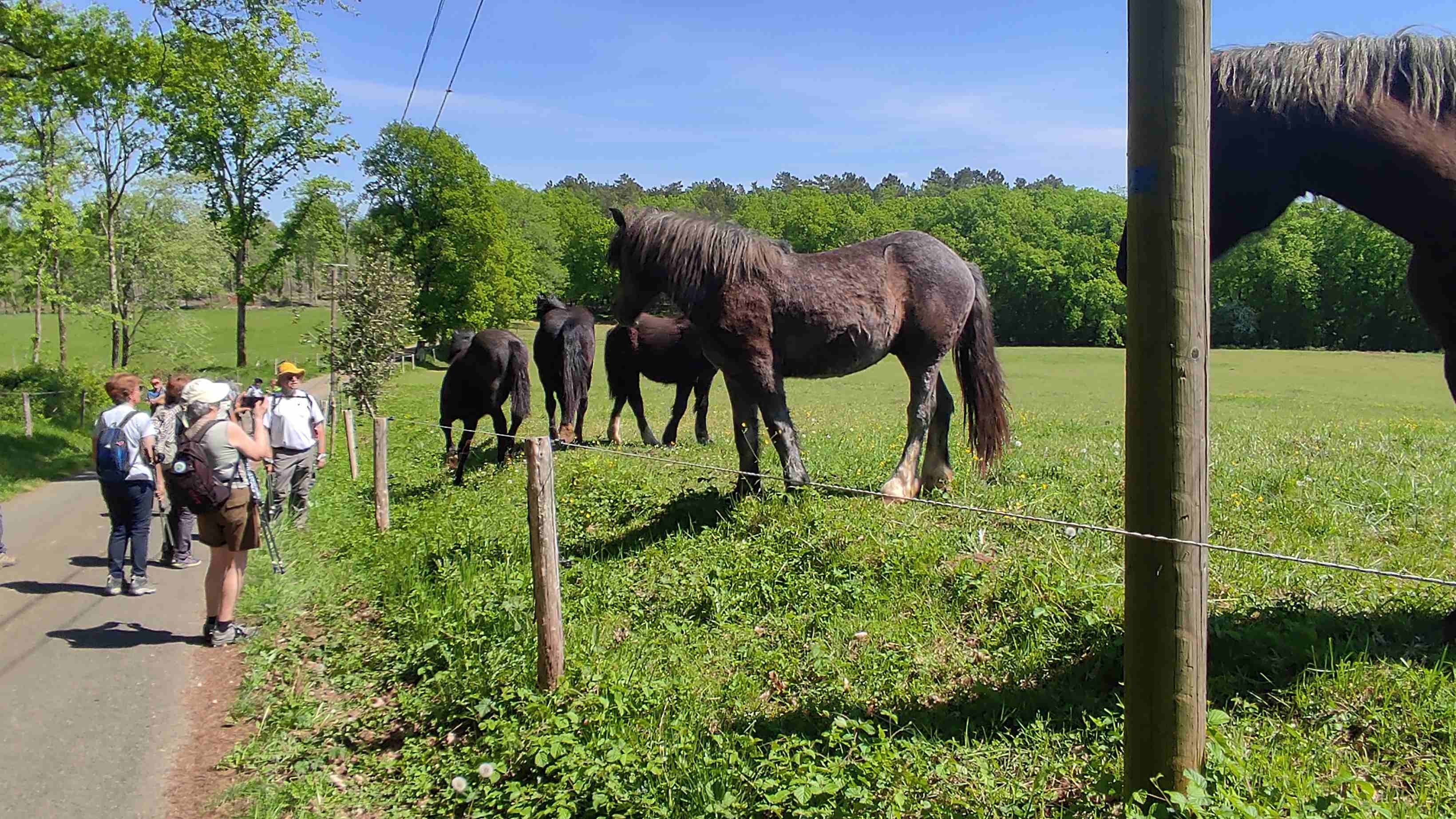 Photos prise par Christian F.
