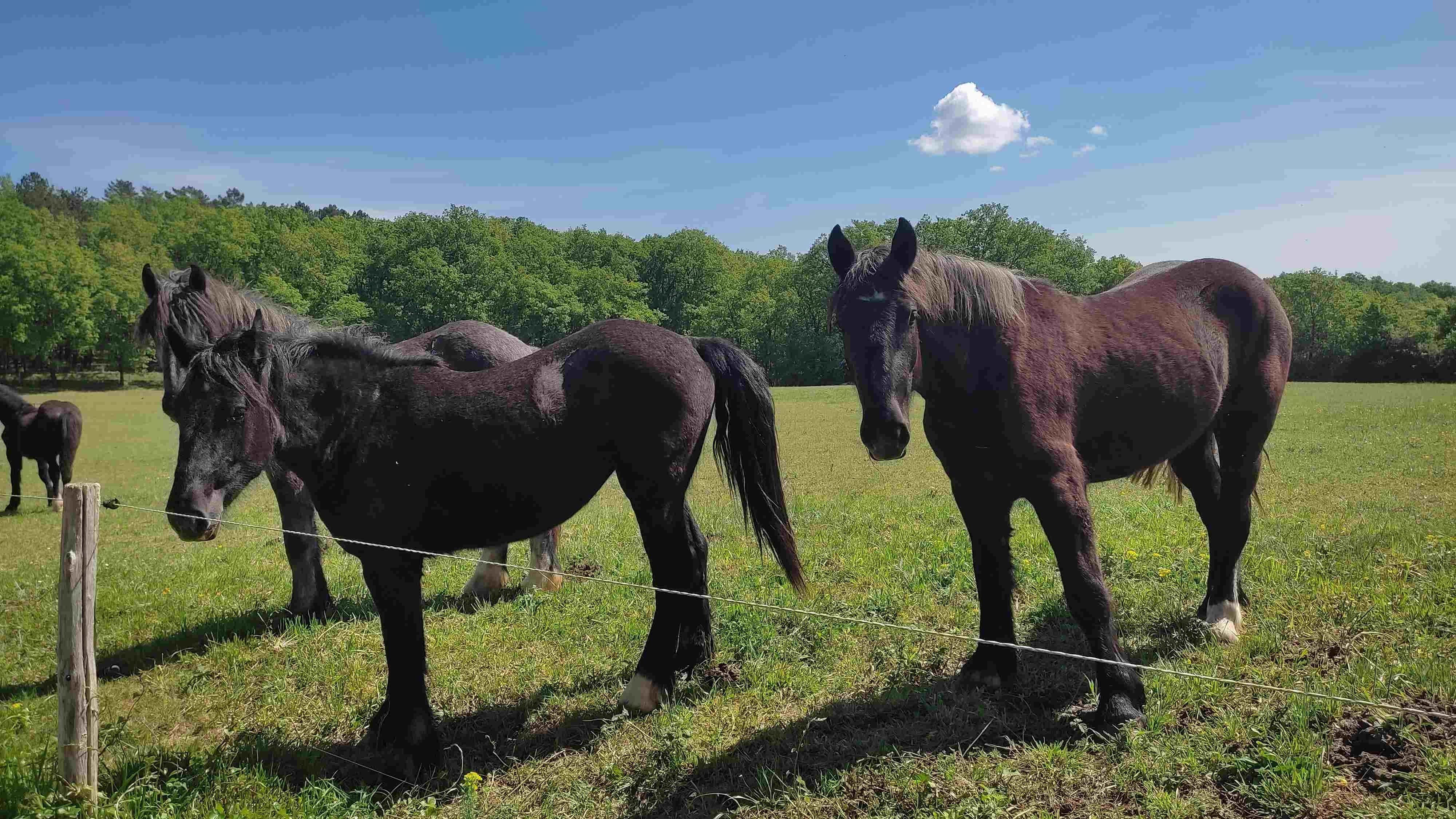 Photos prise par Christian F.