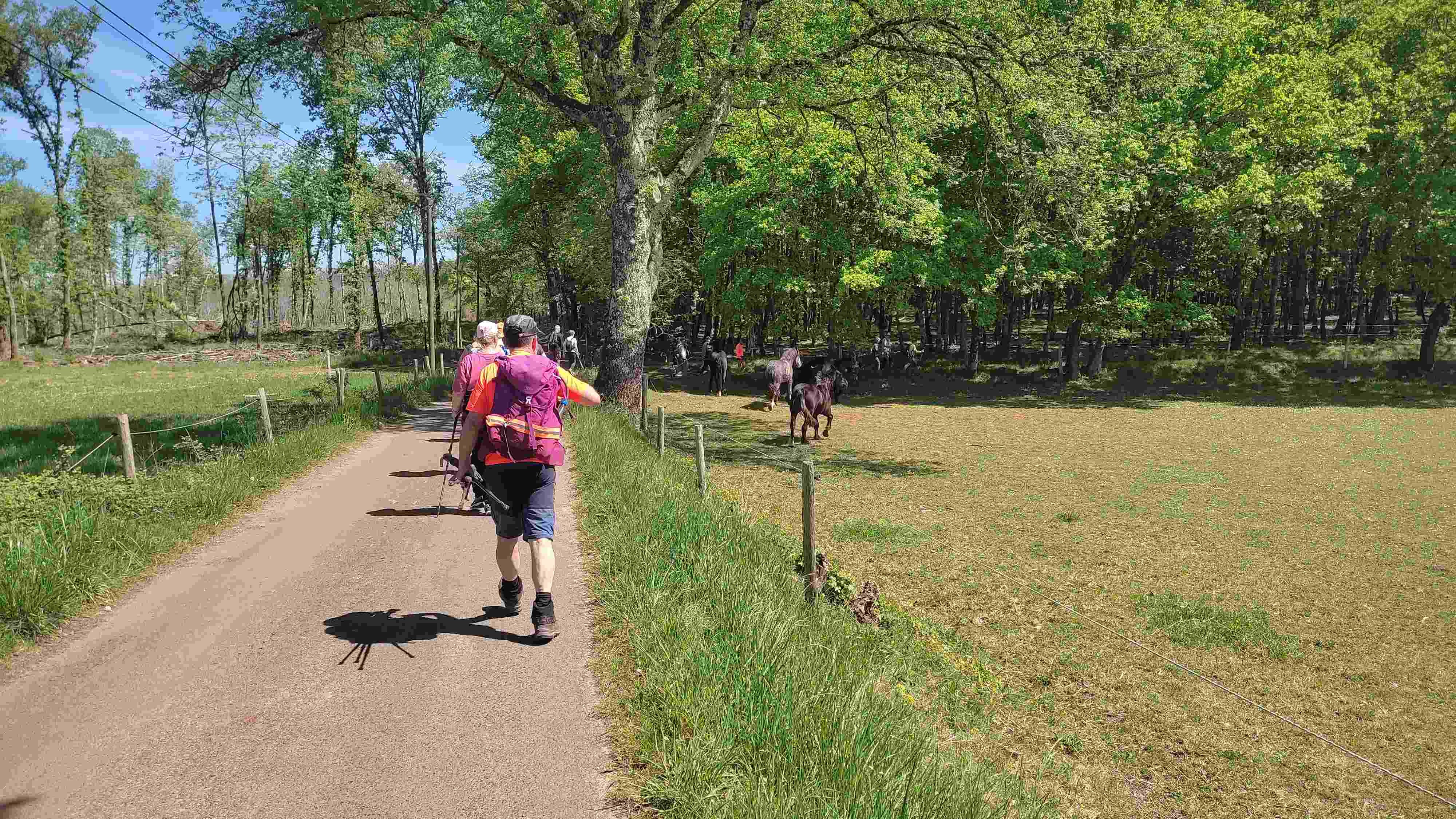 Photos prise par Christian F.