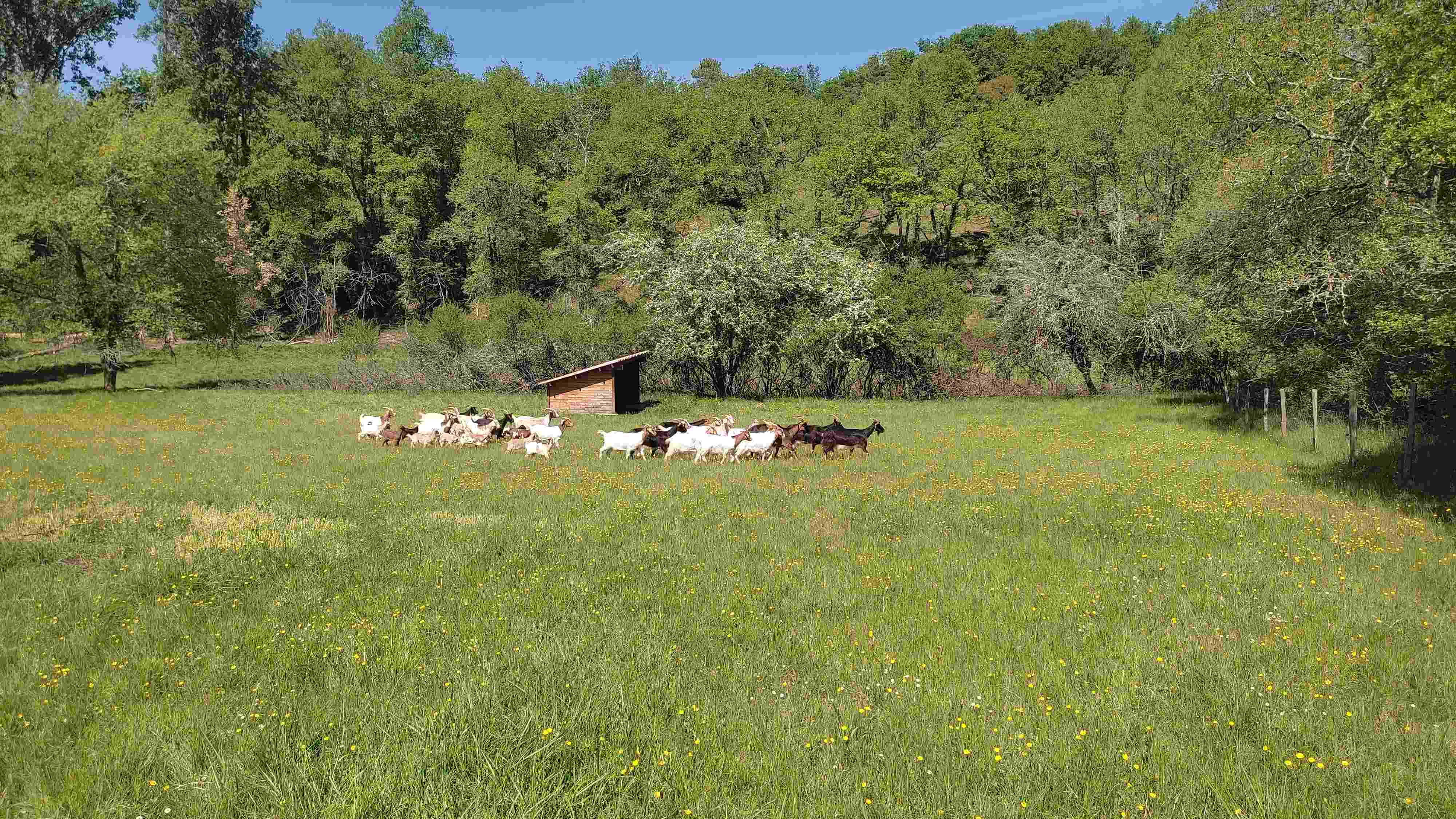 Photos prise par Christian F.