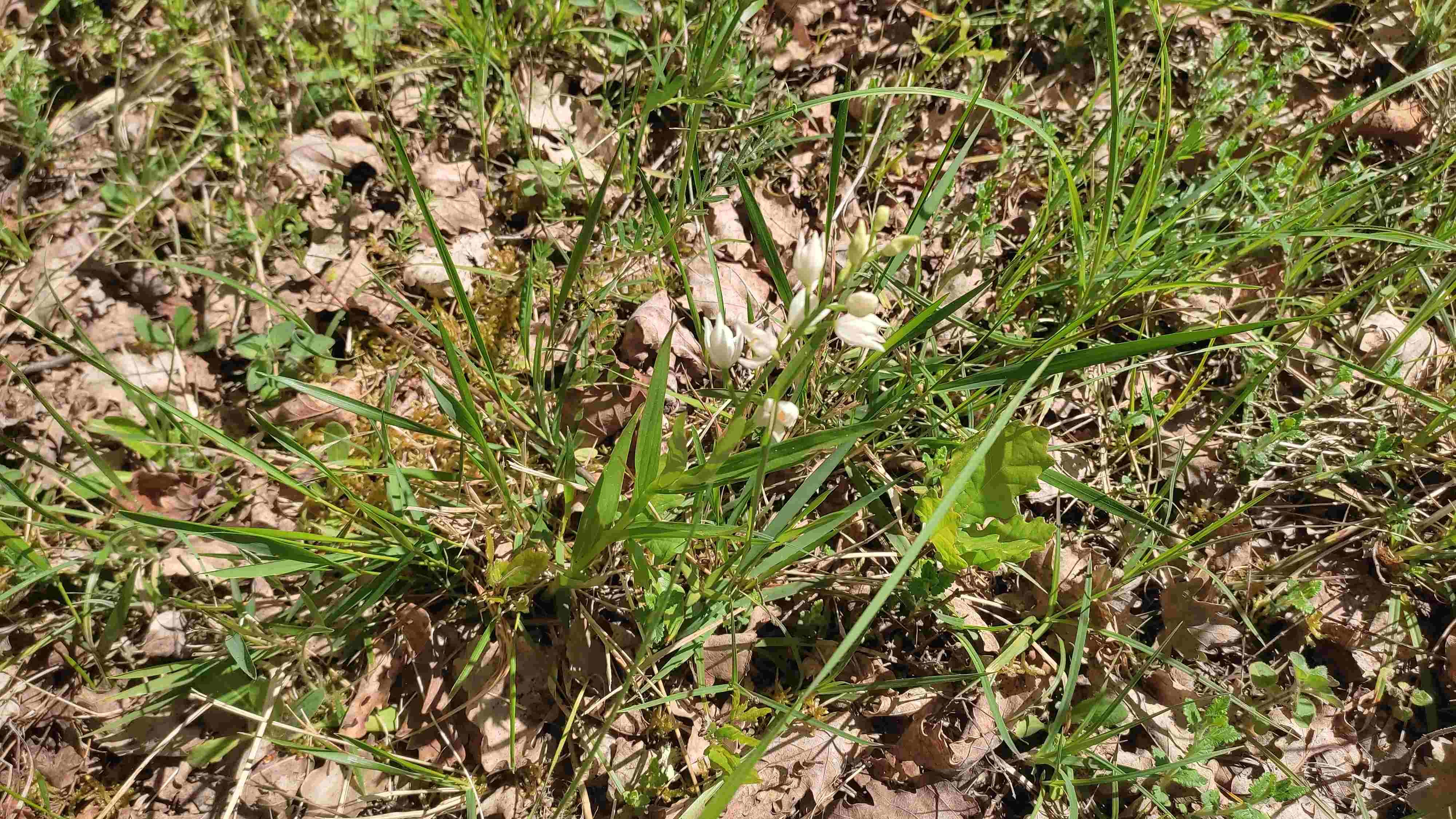 Photos prise par Christian F.