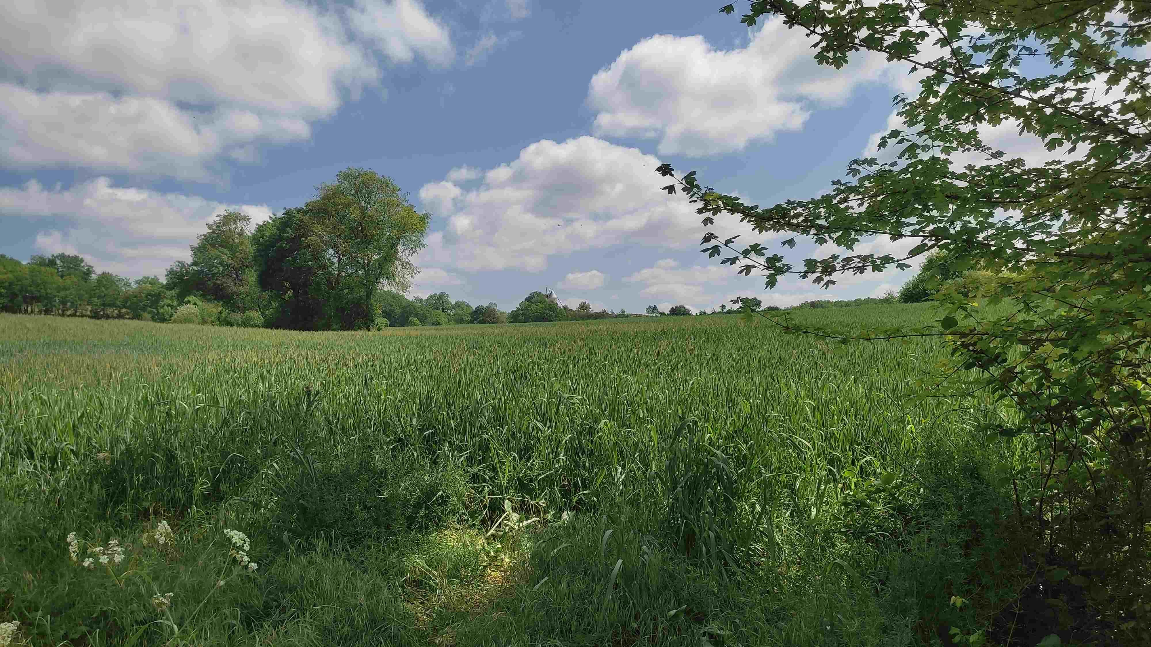 Photos prises par Christian F.