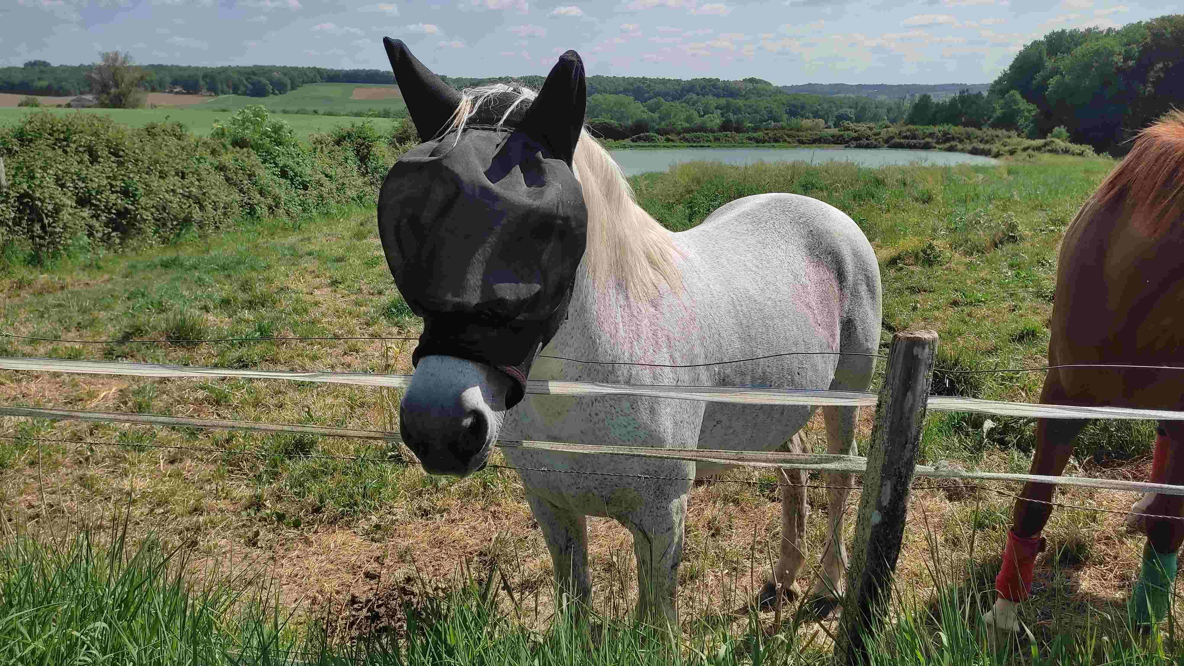 Photos prises par Christian F.