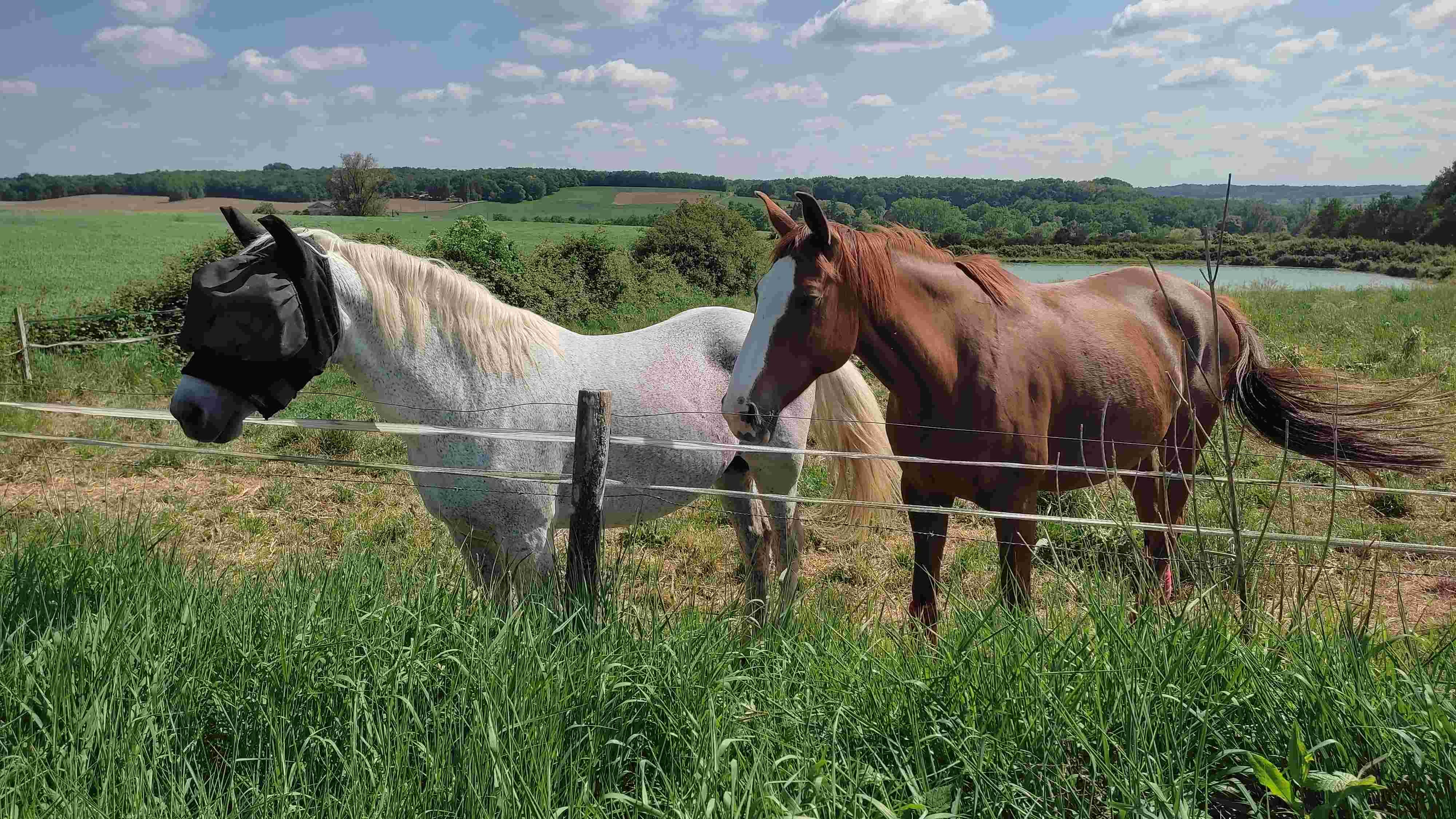 Photos prises par Christian F.