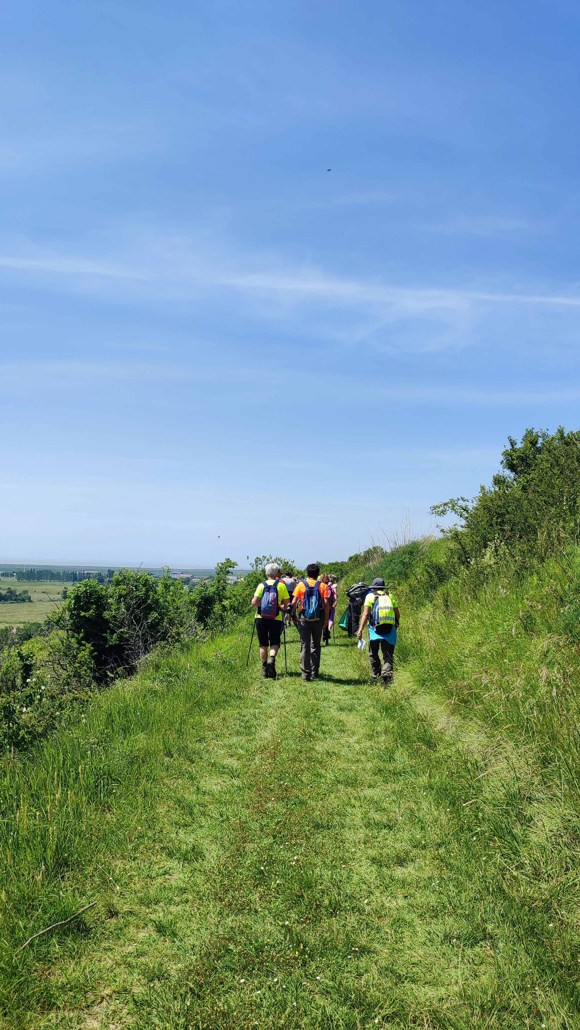 Mortagne sur gironde 29 