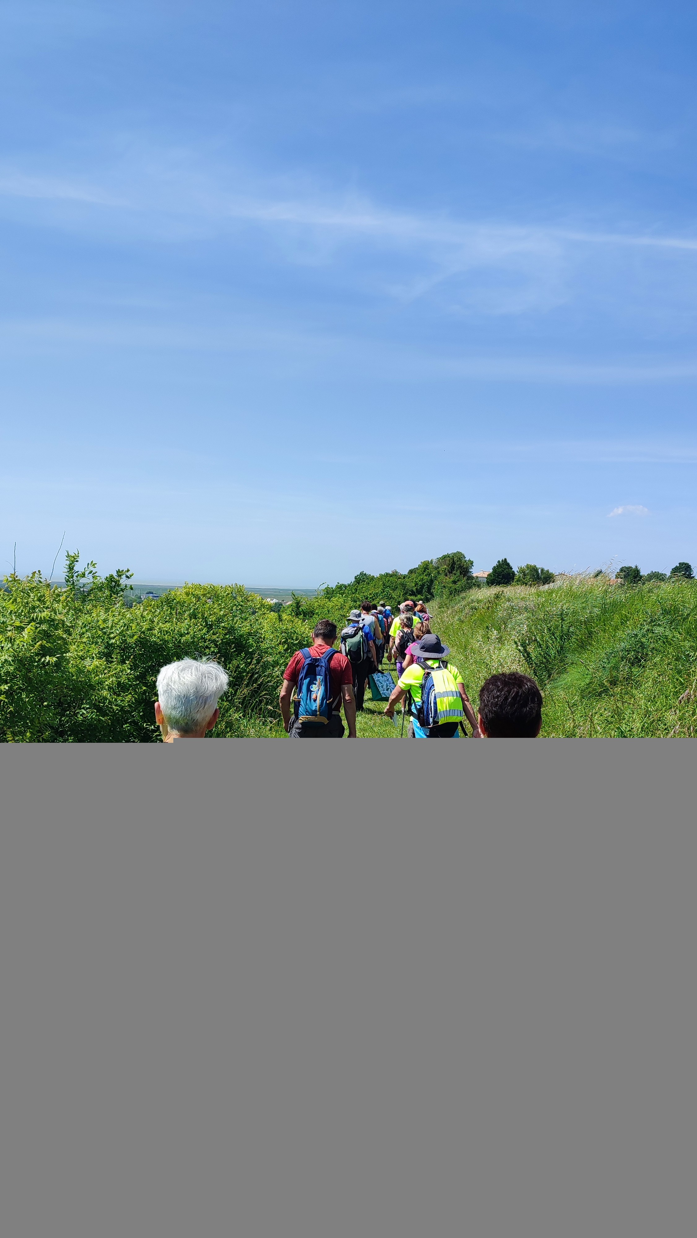 Mortagne sur gironde 30 