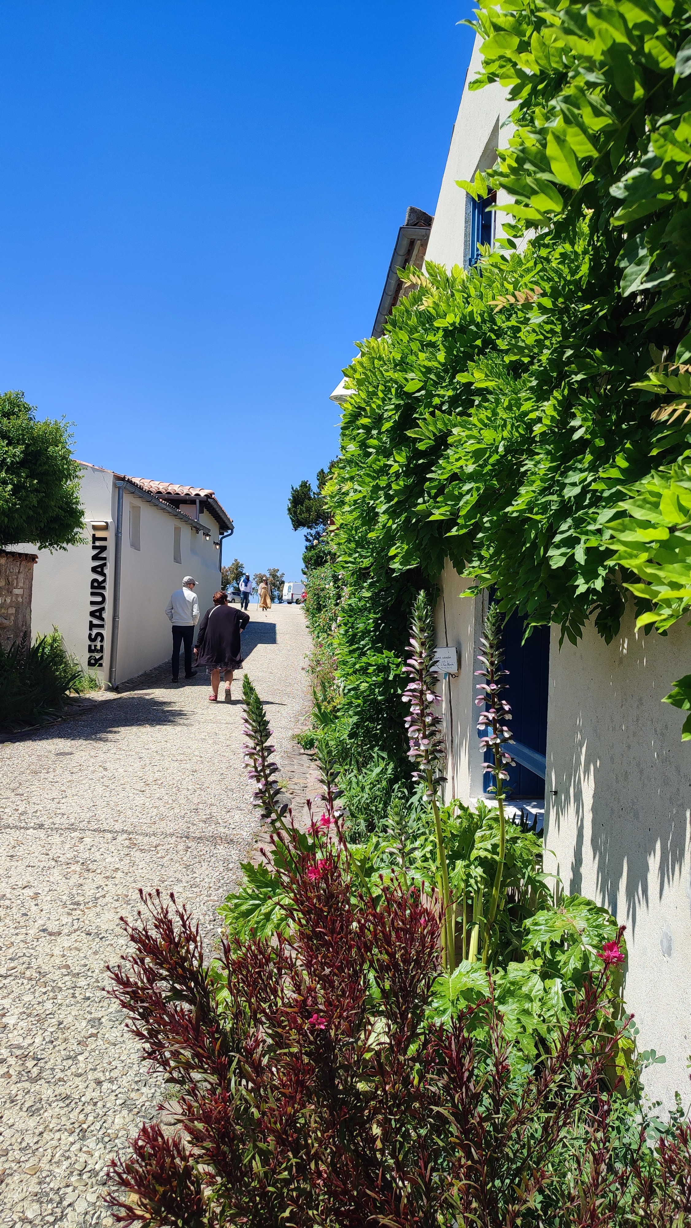 Talmont sur gironde 2 