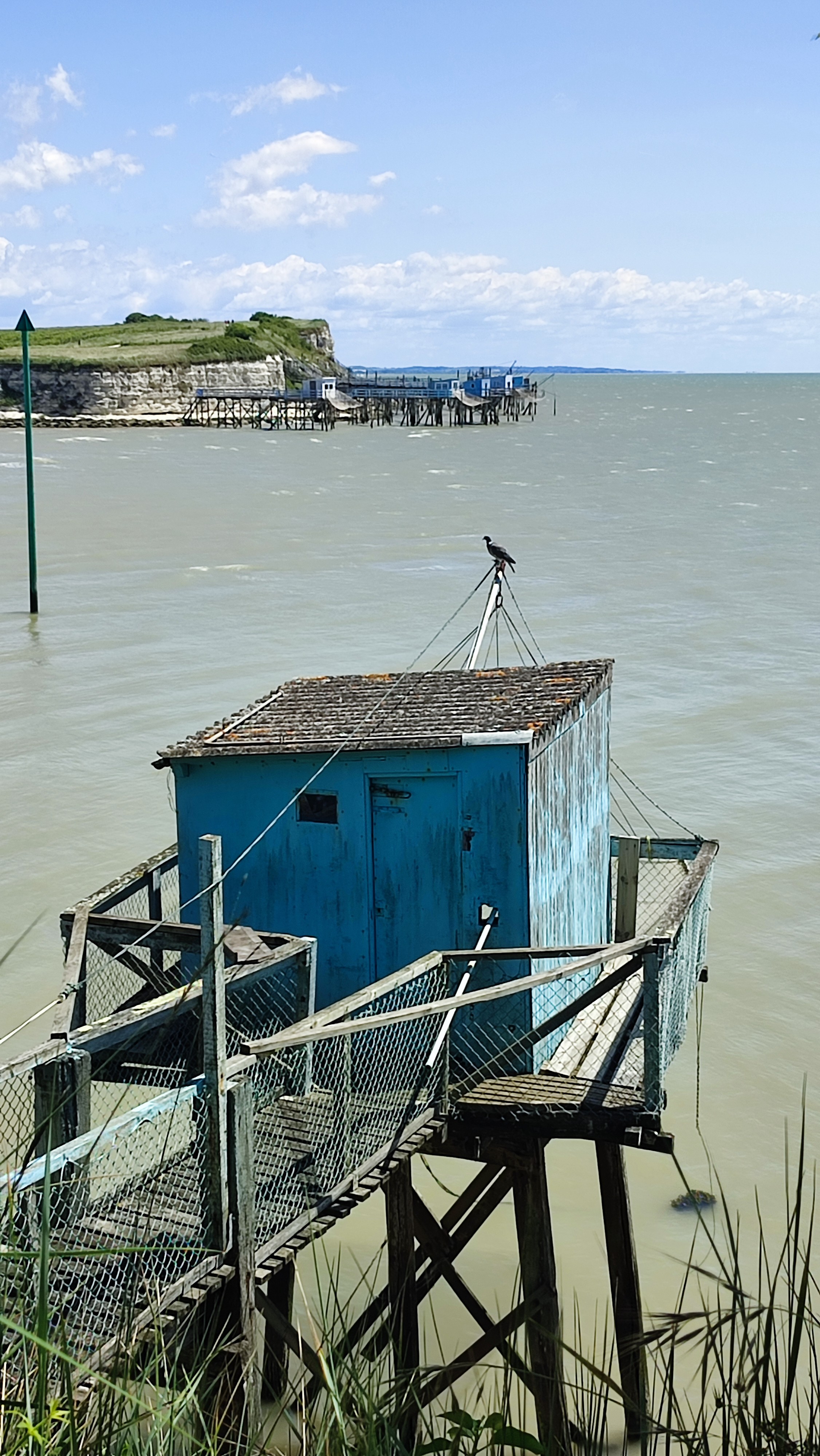 Talmont sur gironde 35 