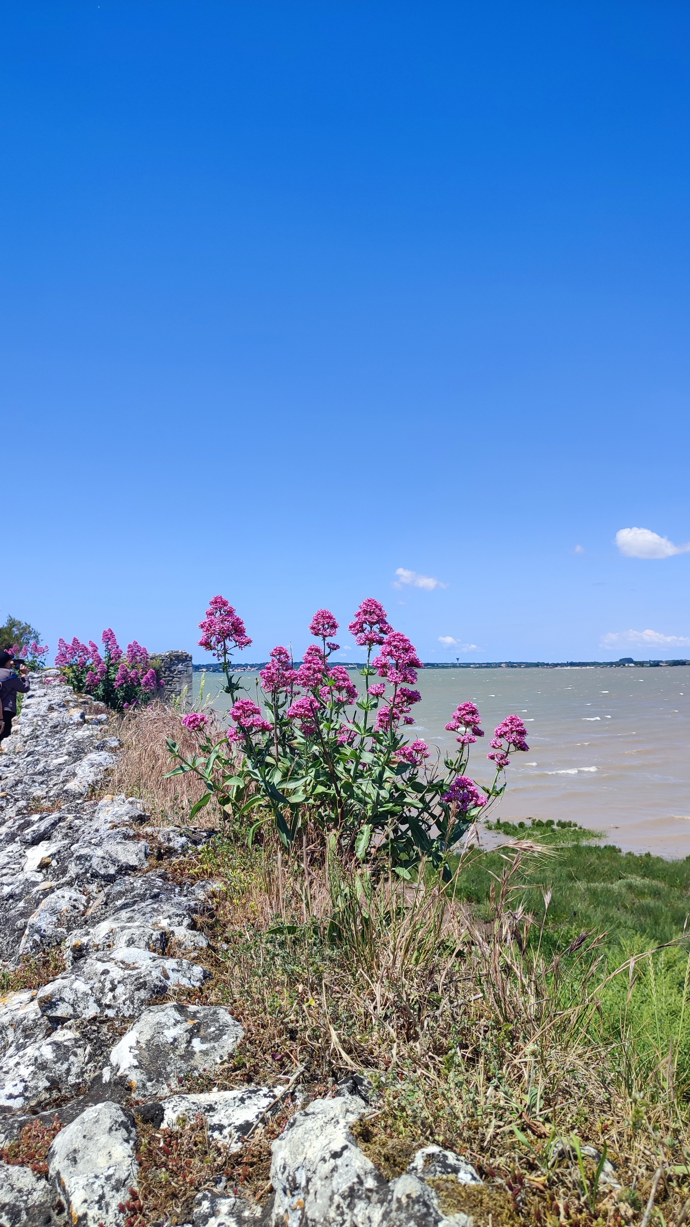 Talmont sur gironde 6 