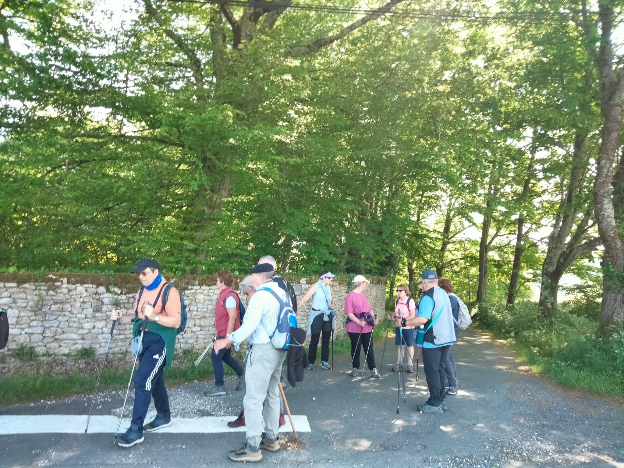 Whatsapp image 2026 04 20 at 13 10 35 1 