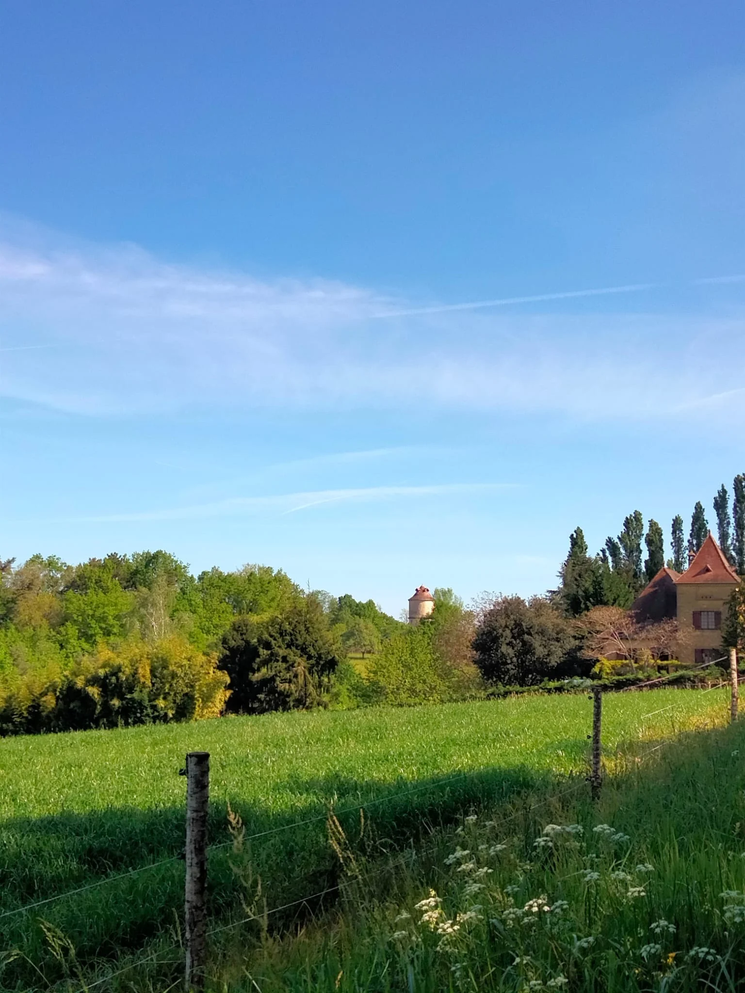 Whatsapp image 2026 04 20 at 13 10 35 2 