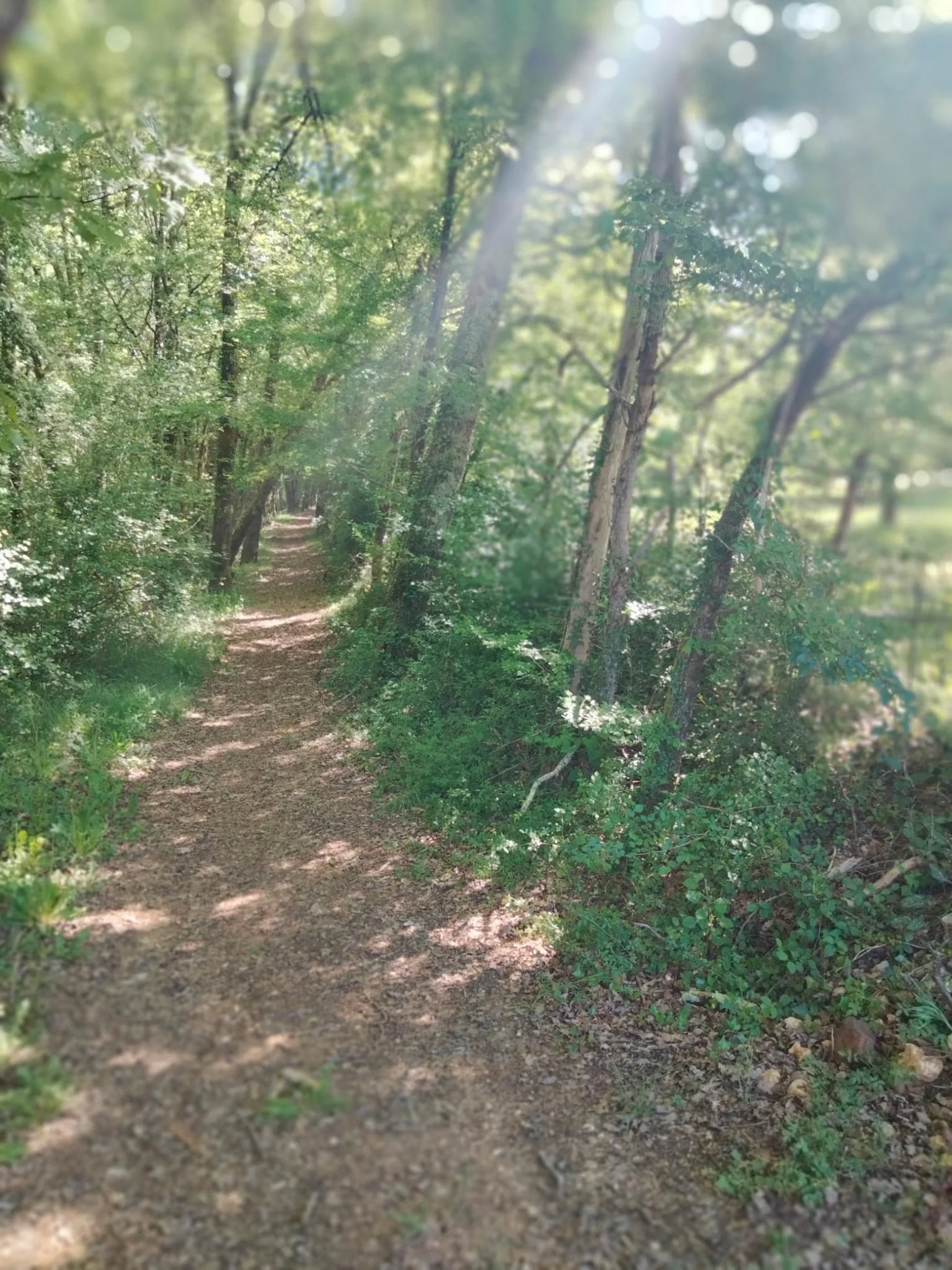 Whatsapp image 2026 04 20 at 13 10 36