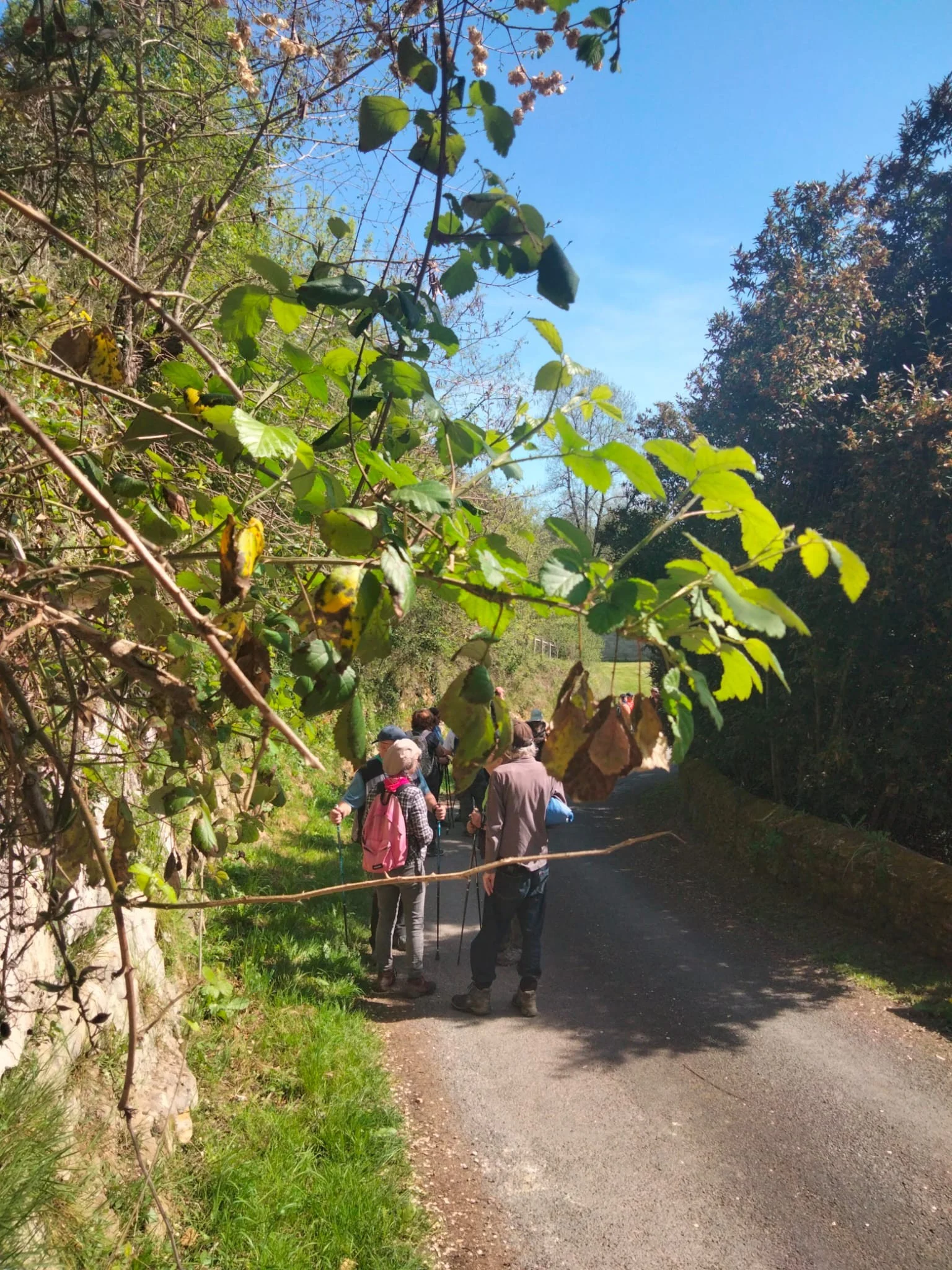 Whatsapp image 2026 04 20 at 13 10 38