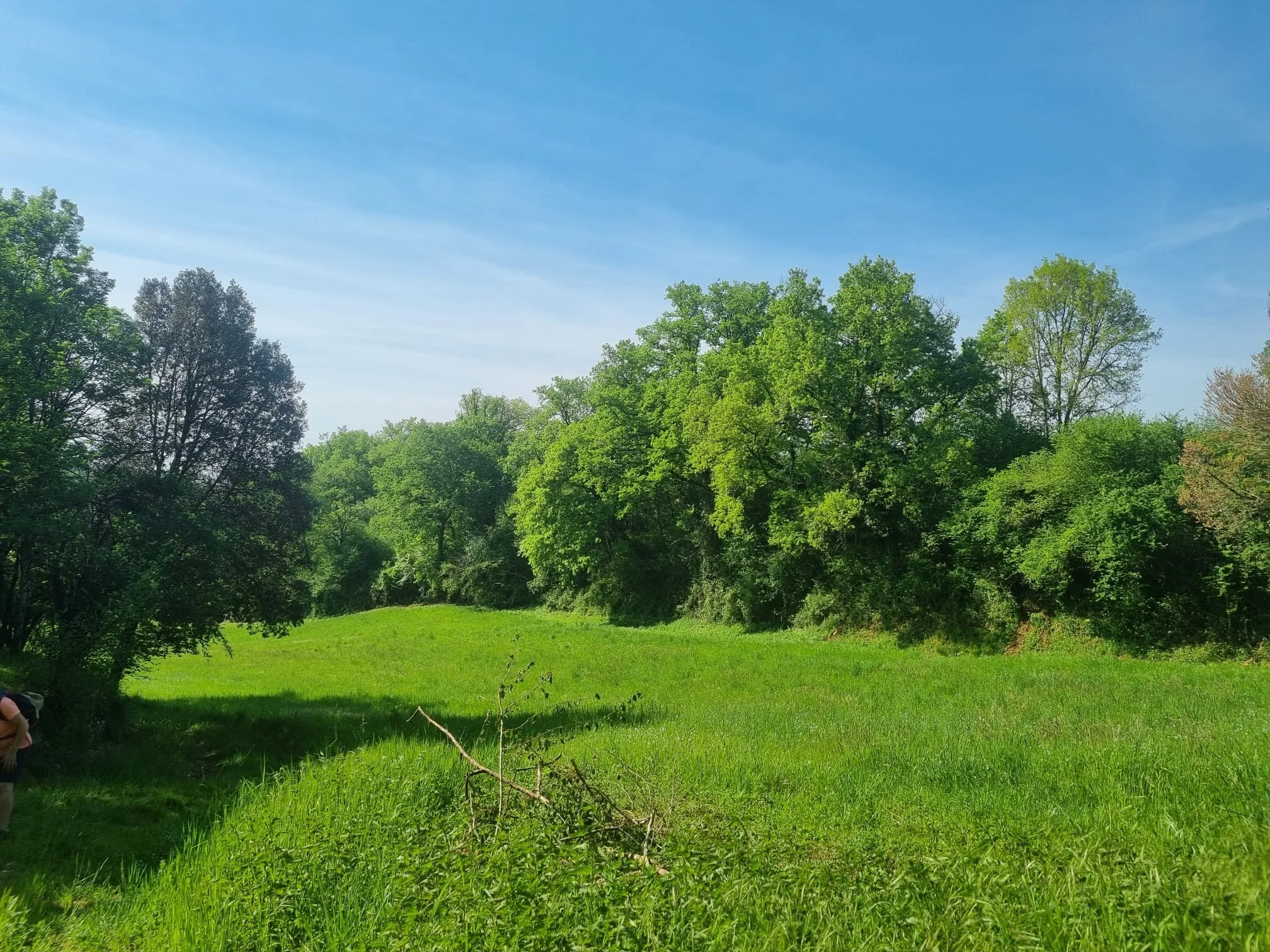 Whatsapp image 2026 04 20 at 16 11 35