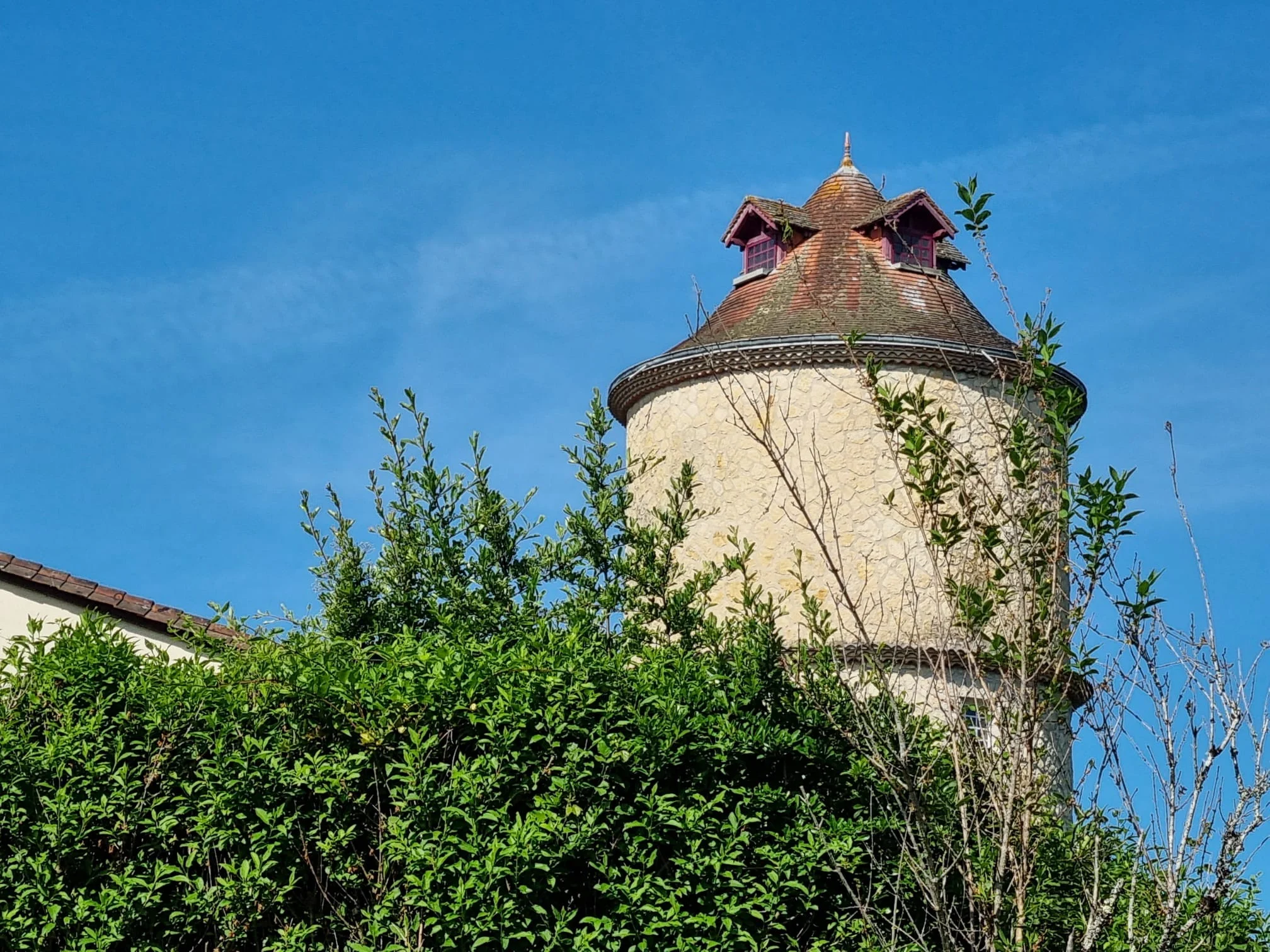 Whatsapp image 2026 04 20 at 16 11 36