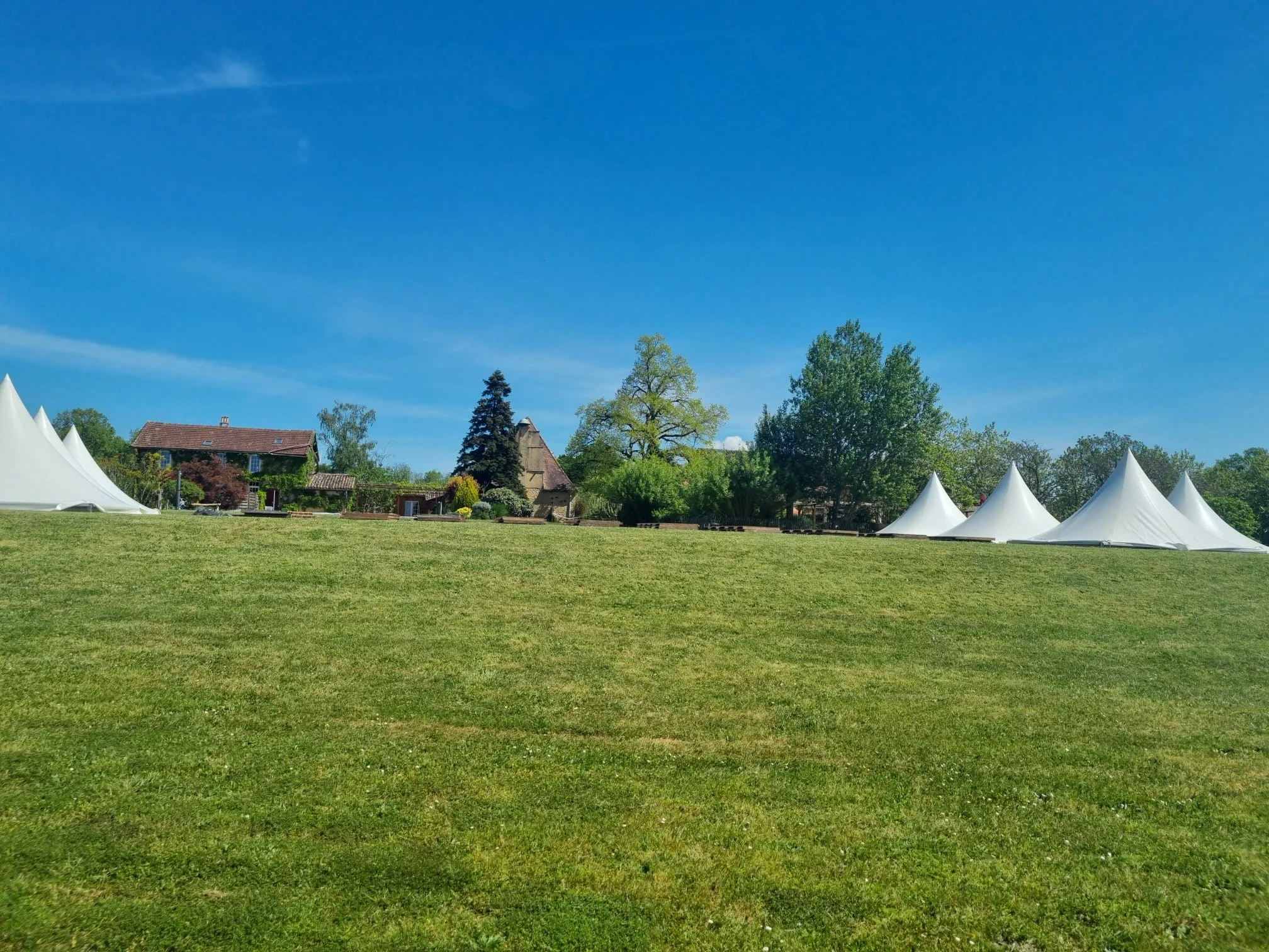 Whatsapp image 2026 04 20 at 16 11 37 4jpeg 1